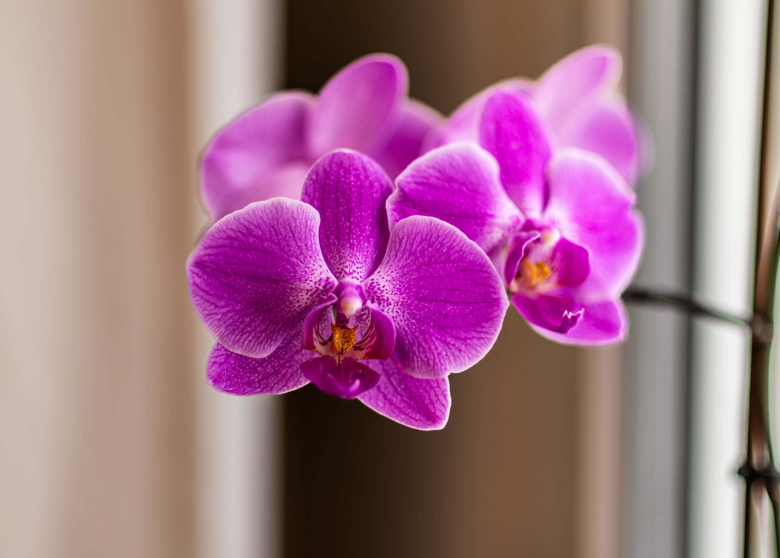 altglas (3 von 11).jpg