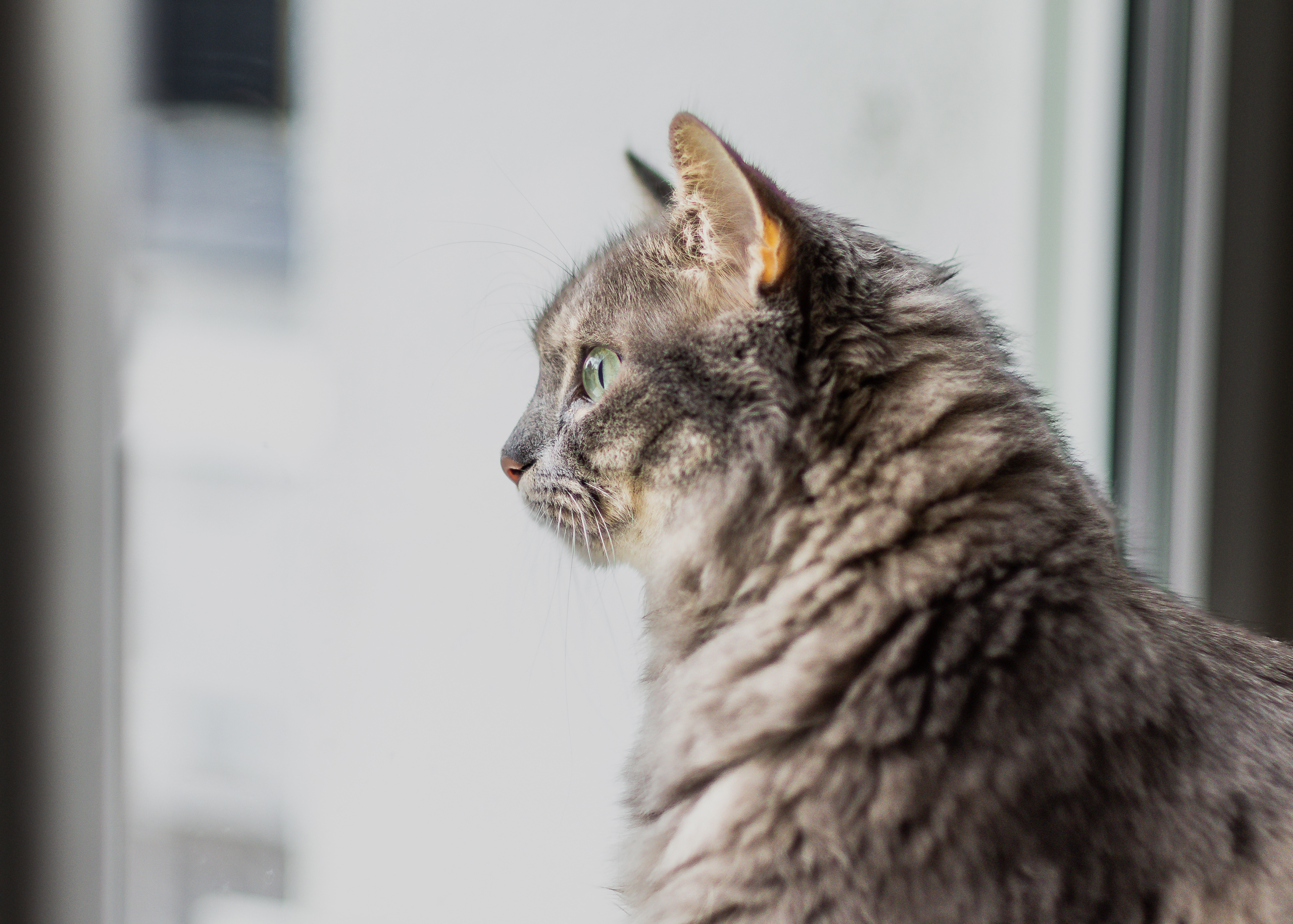 altglas (4 von 11).jpg