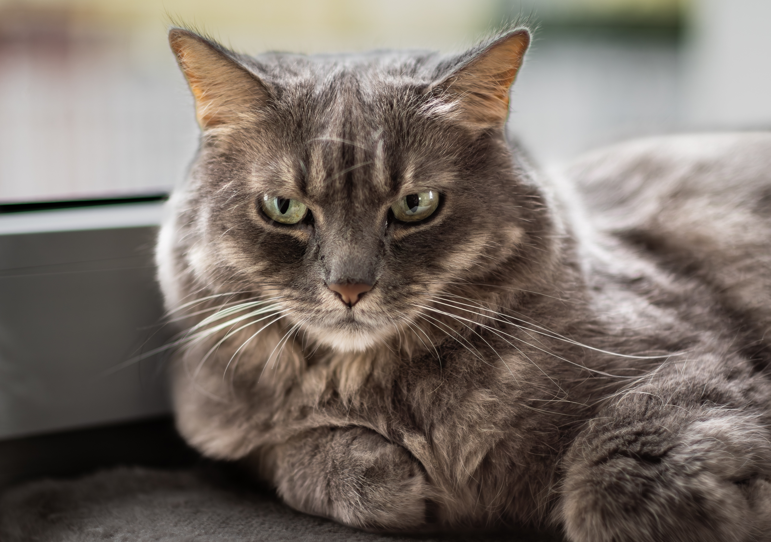 altglas (5 von 11).jpg