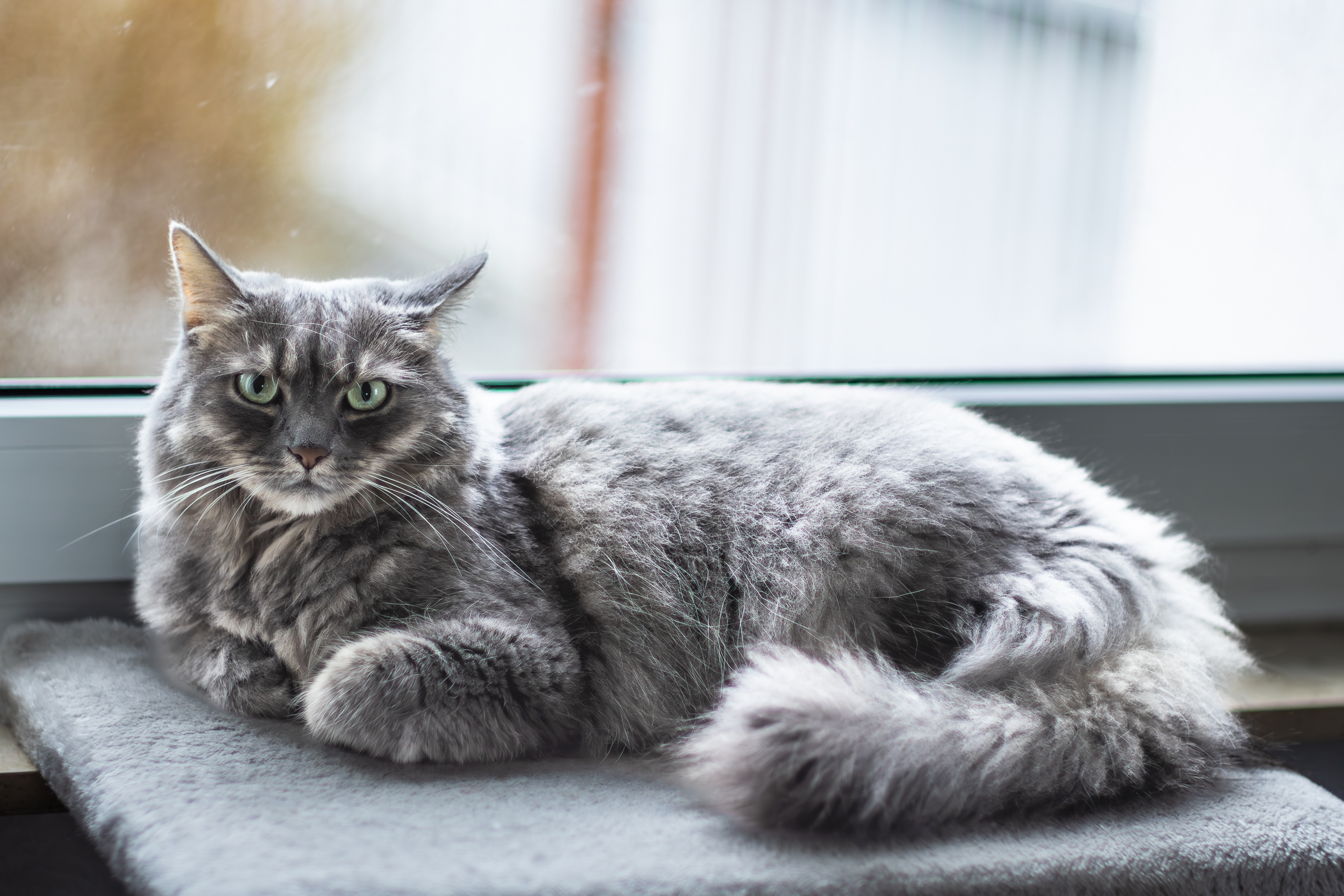 altglas (8 von 11).jpg