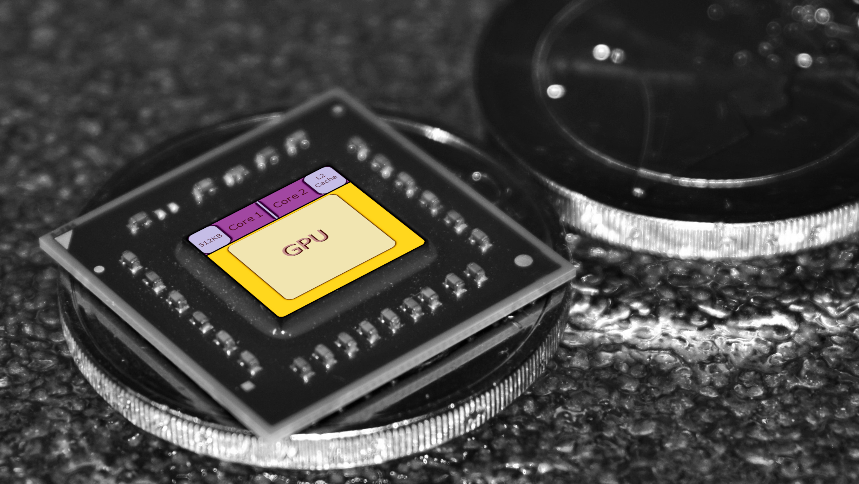 AMD C-50 DIE -1.jpg