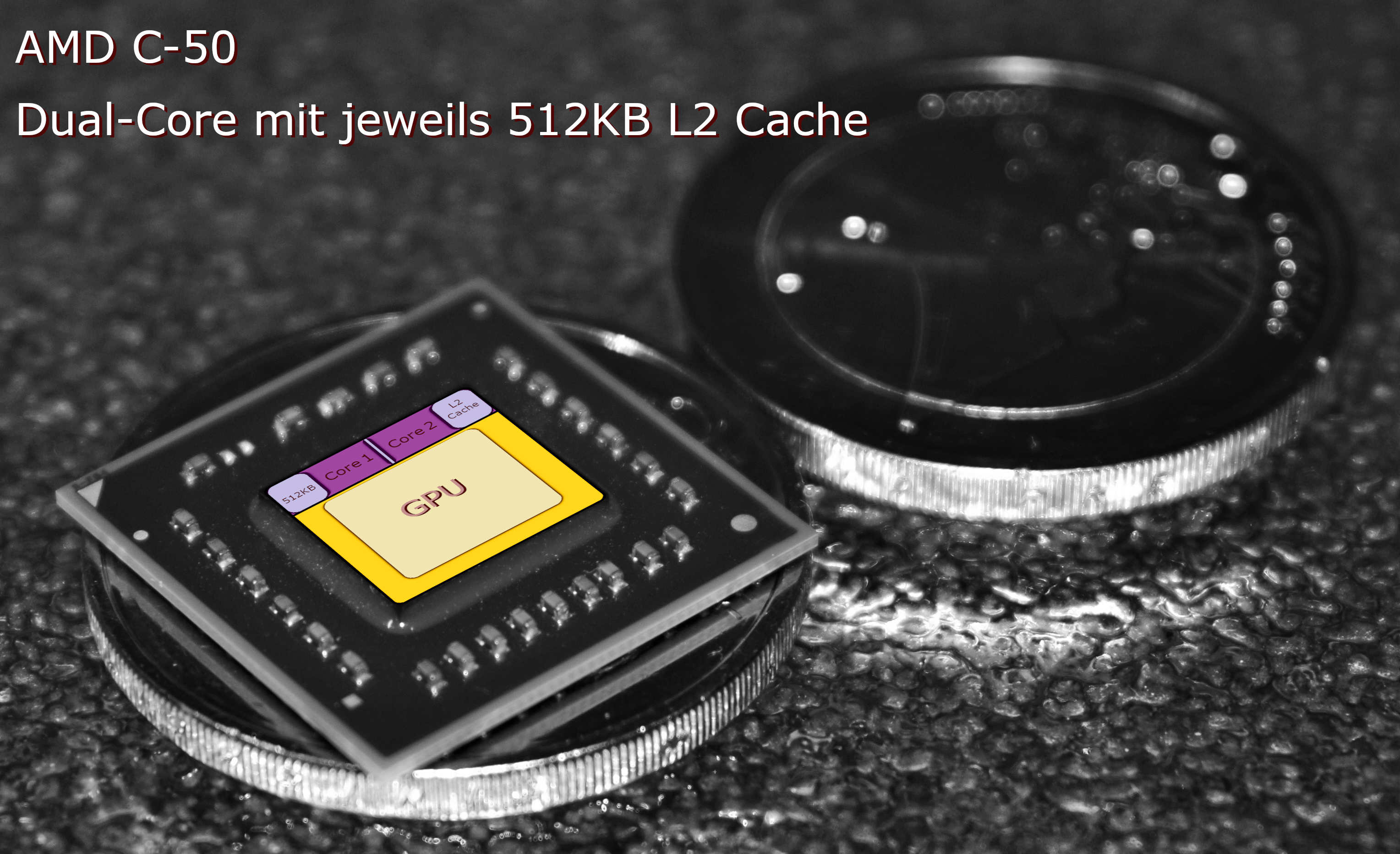 AMD C-50.jpg