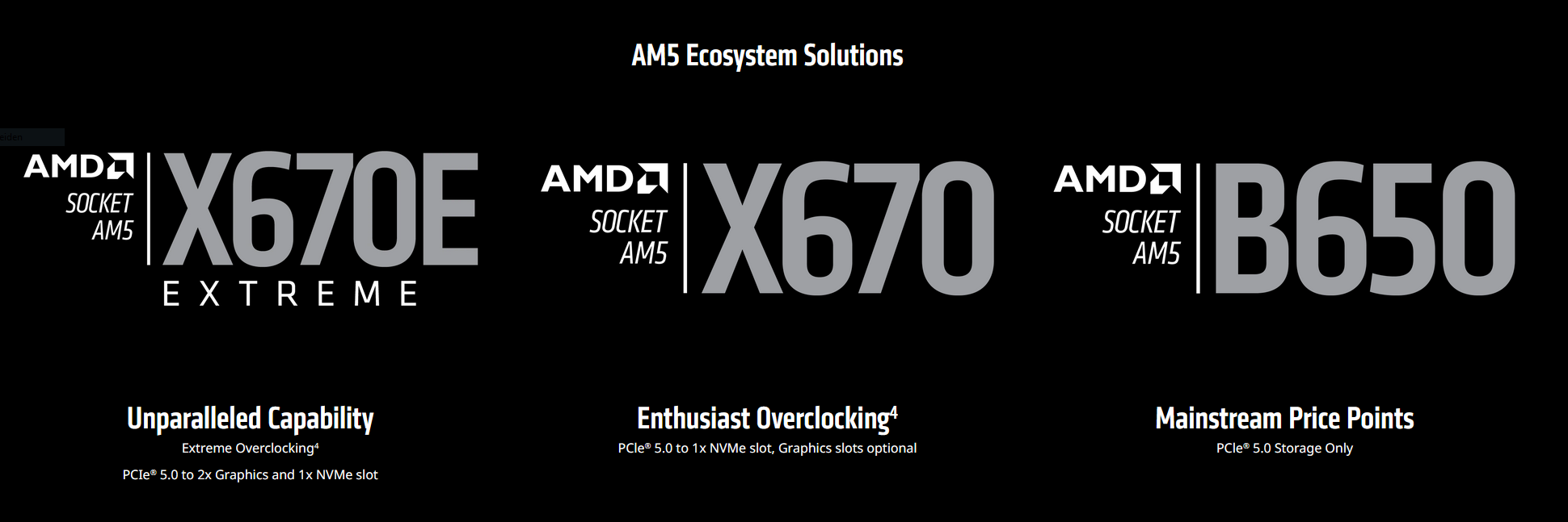 AMD-Webseite.PNG