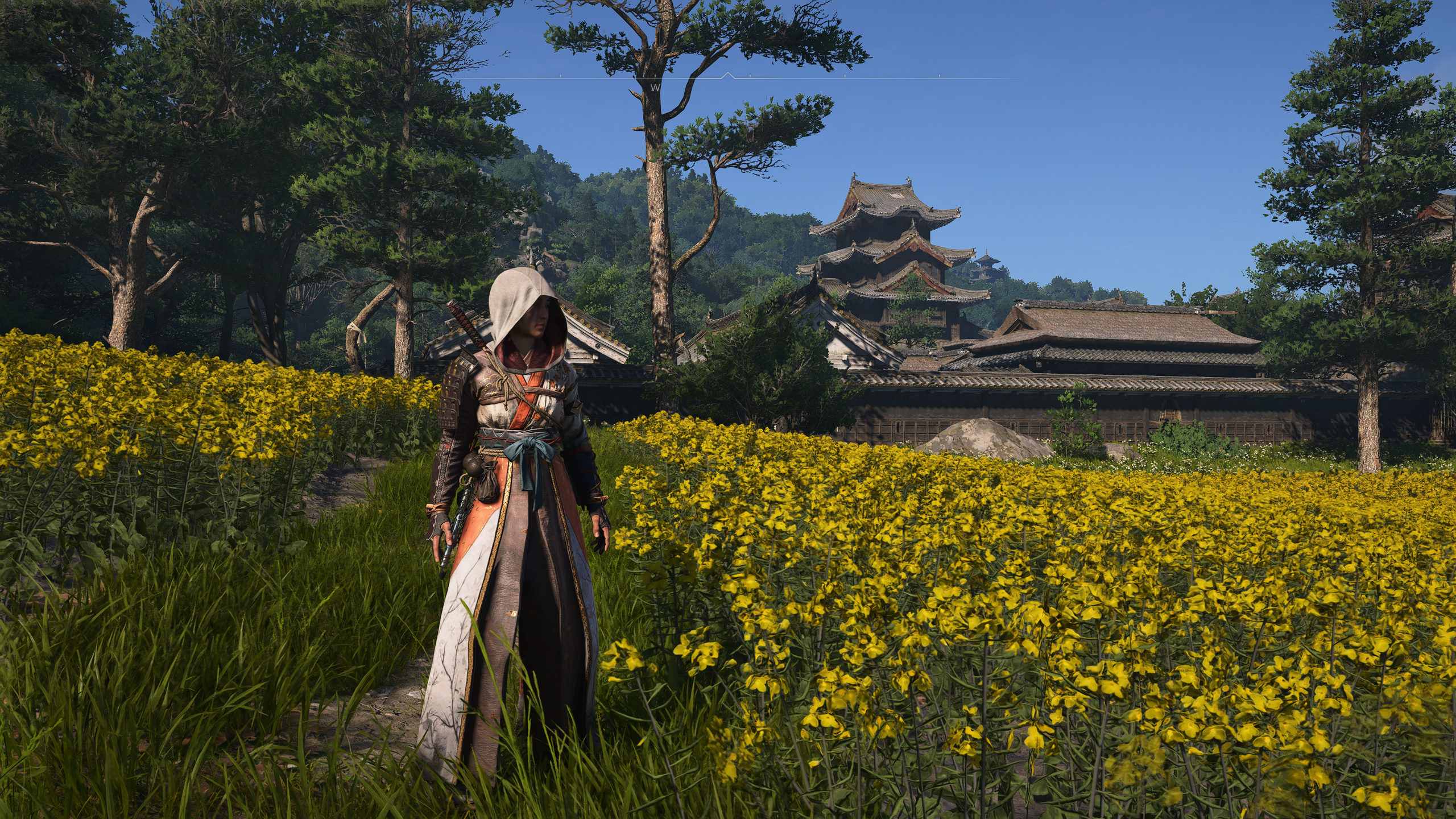 Assassin's Creed Shadows Screenshot 2025.03.28 - 13.40.14.40.png