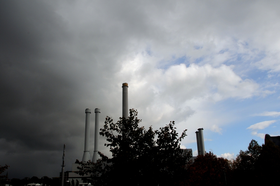 bdsc_0420-jpg.159081