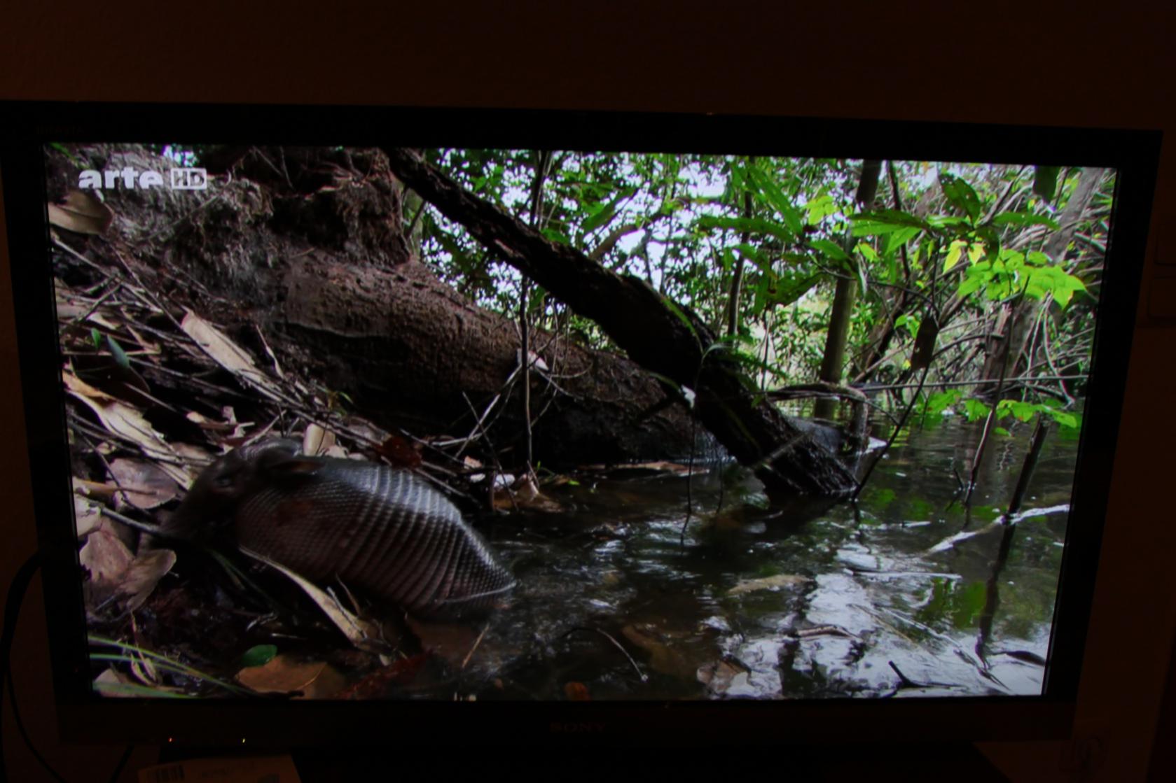 beispiel_bild2-jpg.219081