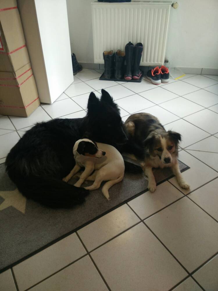 Bild.jpg