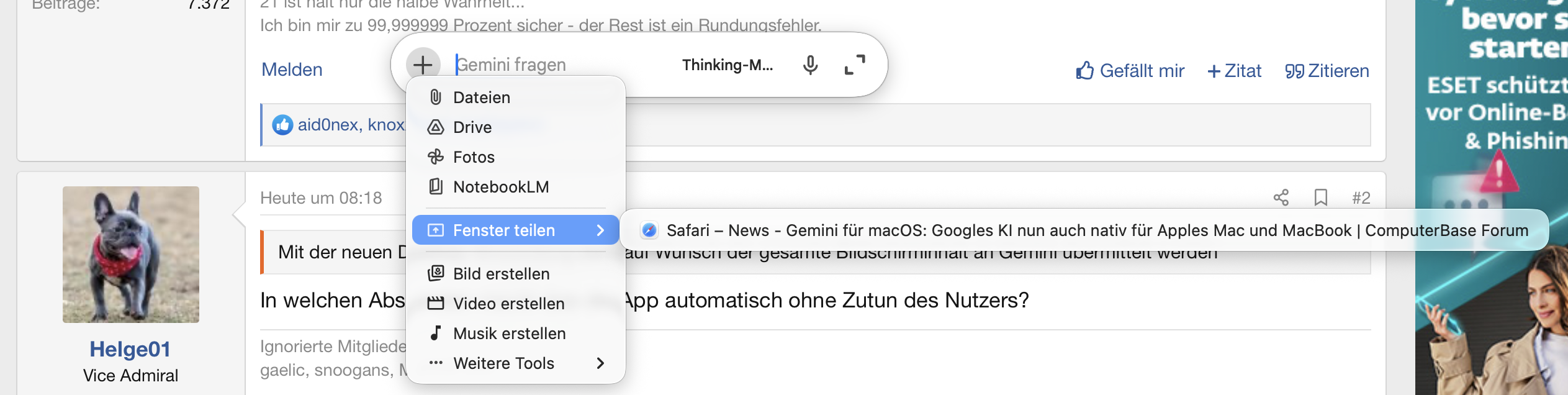 Bild.png