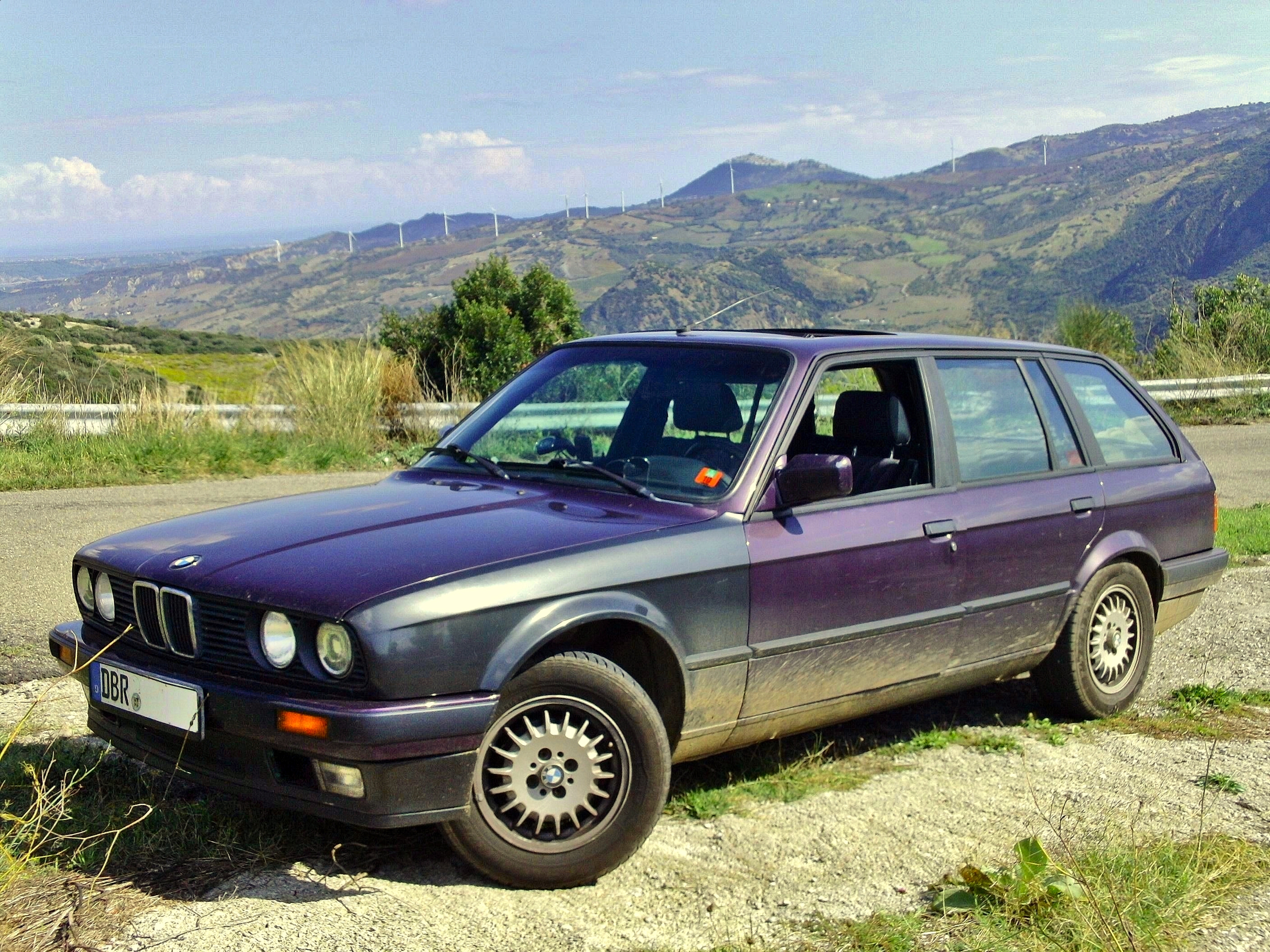 BILD2331-1_01 (1).jpg