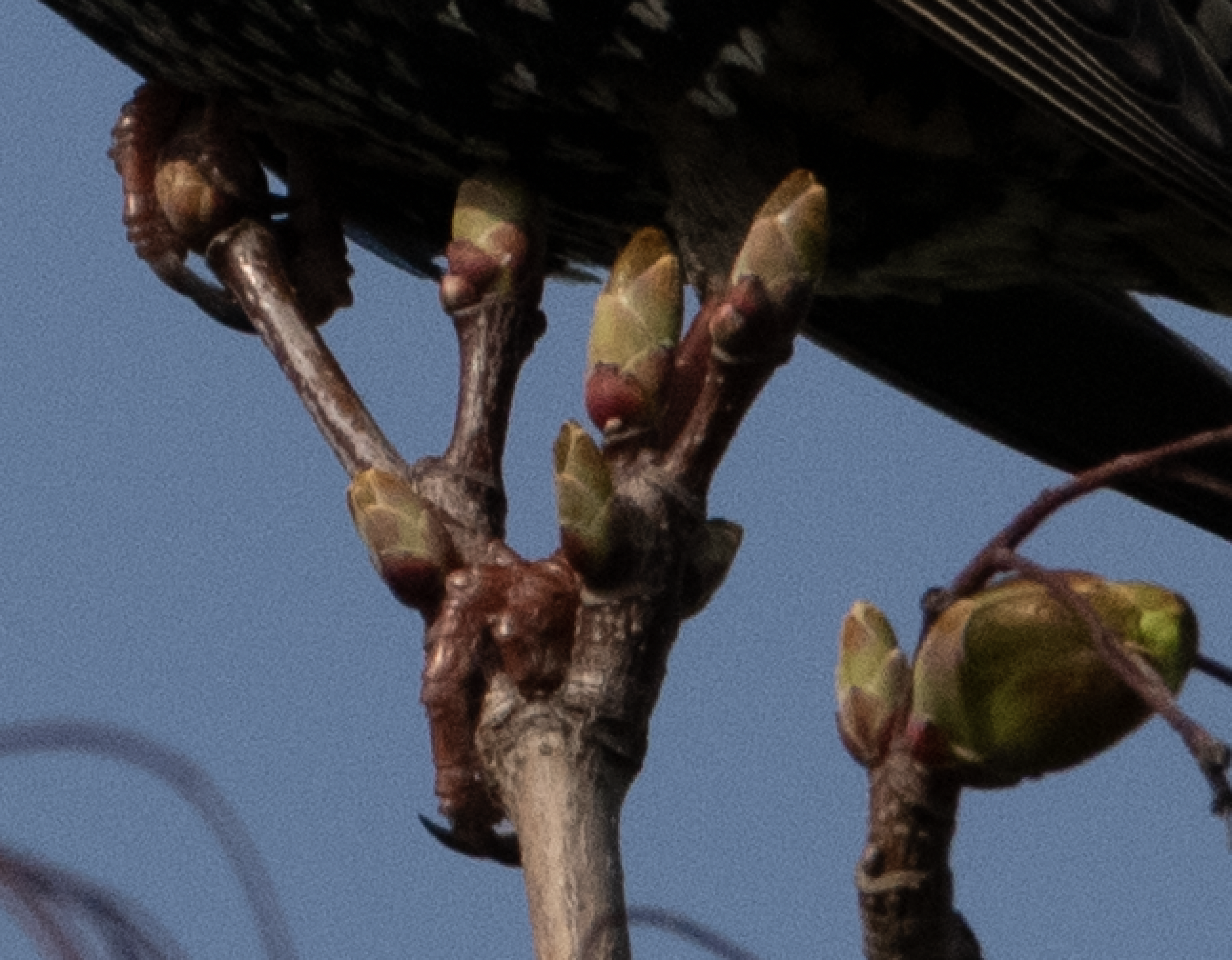 Bildschirmfoto 2021-04-21 um 08.01.21.png