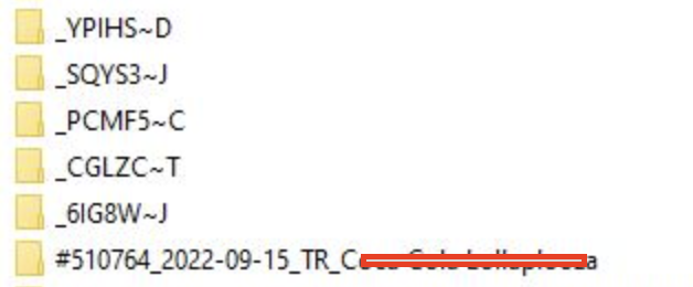 Bildschirmfoto 2022-09-15 um 12.04.15.png