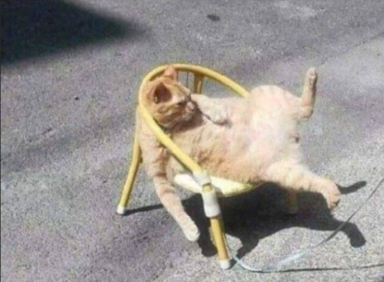 Bildschirmfoto 2025-06-30 um 14.41.17.png