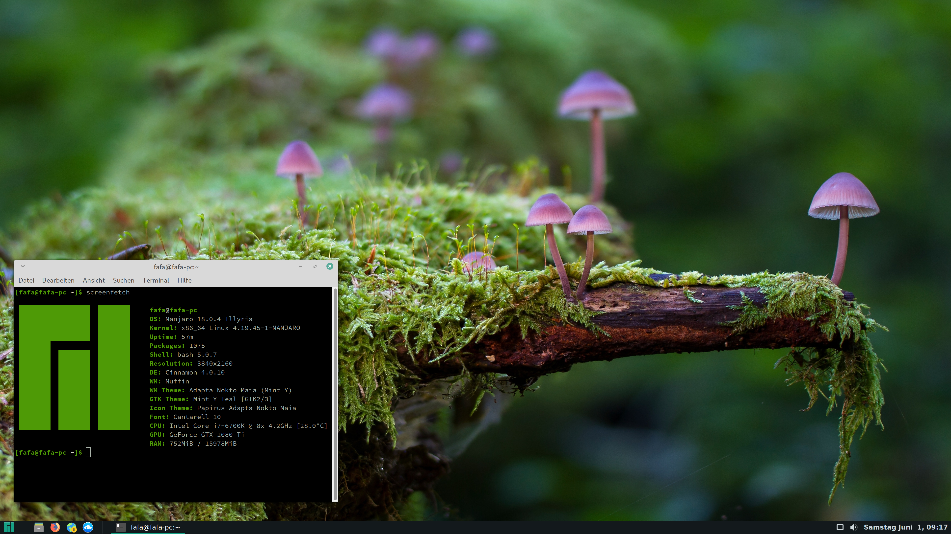 Bildschirmfoto vom 2019-06-01 09-17-39.png