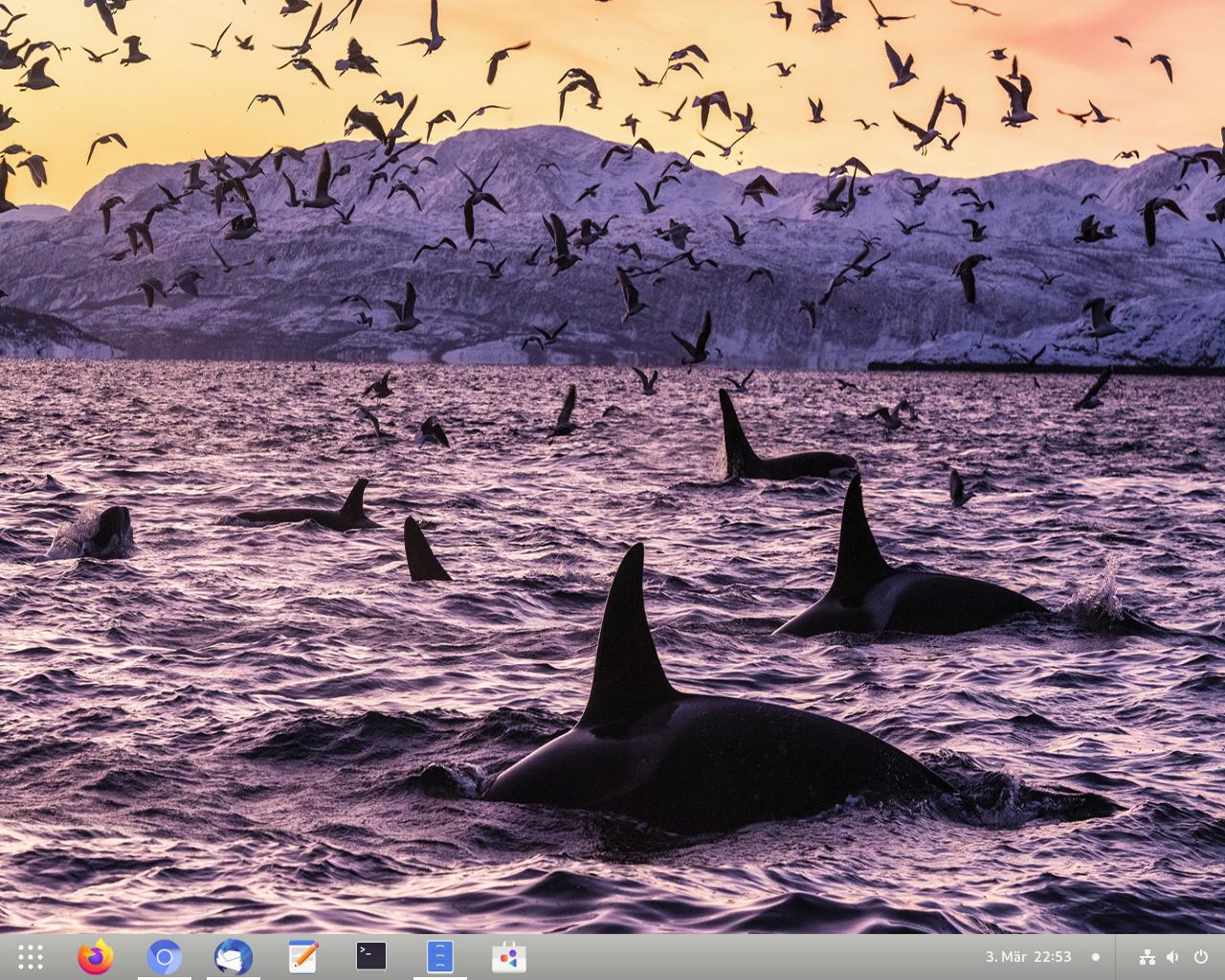 Bildschirmfoto vom 2023-03-03 22-53-33.jpg