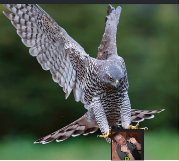 Bildschirmfoto_20260526_201538.png