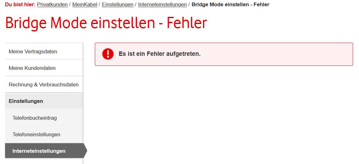 bridge_fehler.JPG