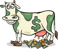 Cash Cow.jpg