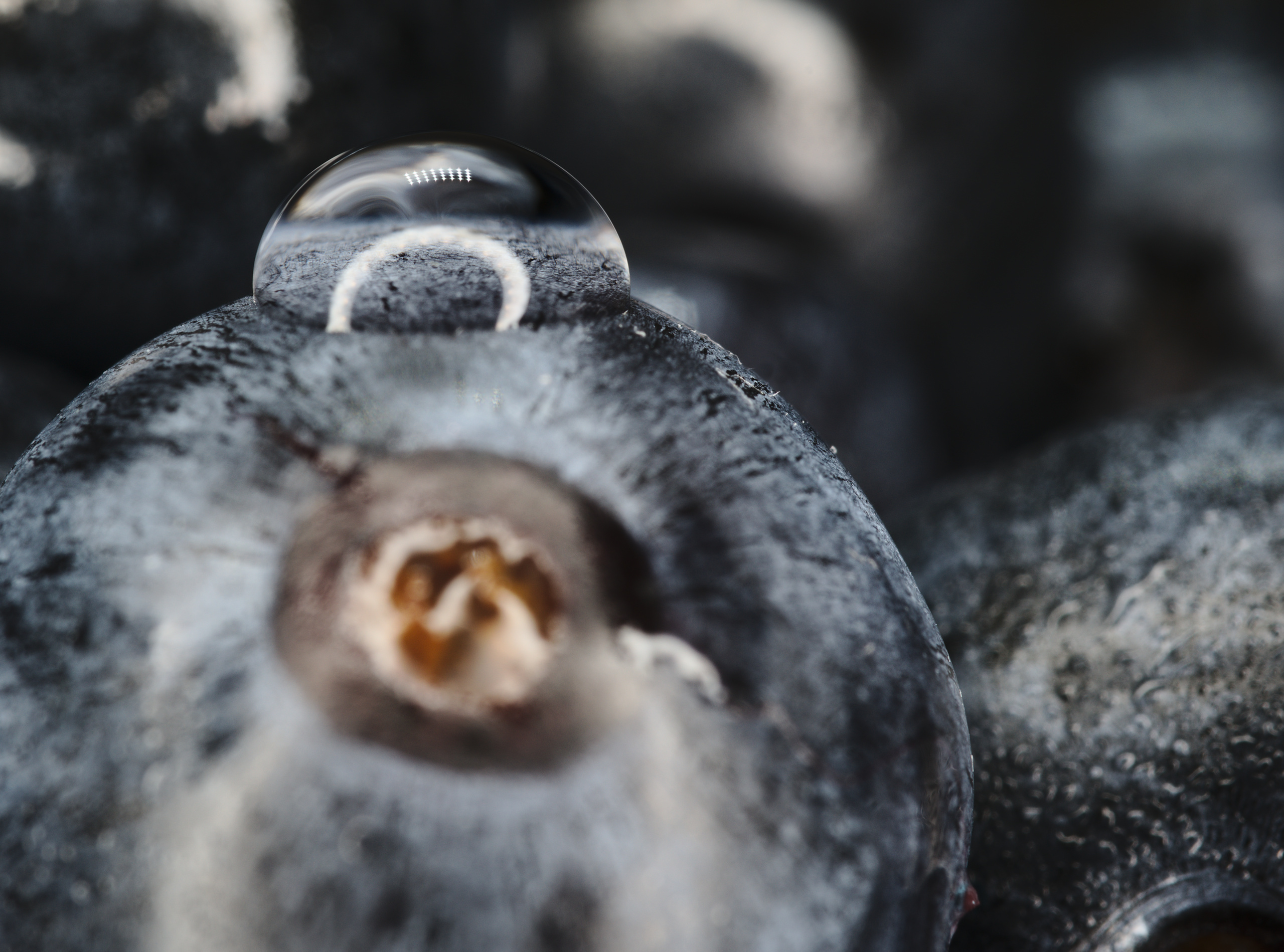 CB-Wettbewerb_August2018_Nahaufnahme (13).jpg