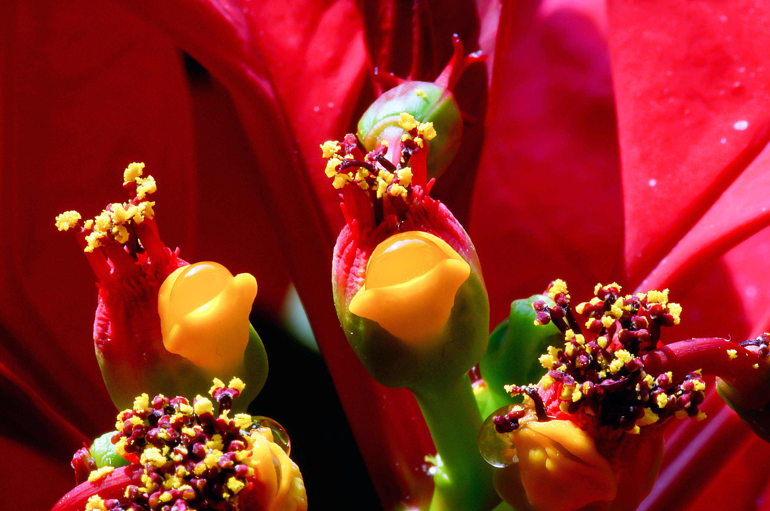 CB-Wettbewerb_August2018_Nahaufnahme (27).jpg