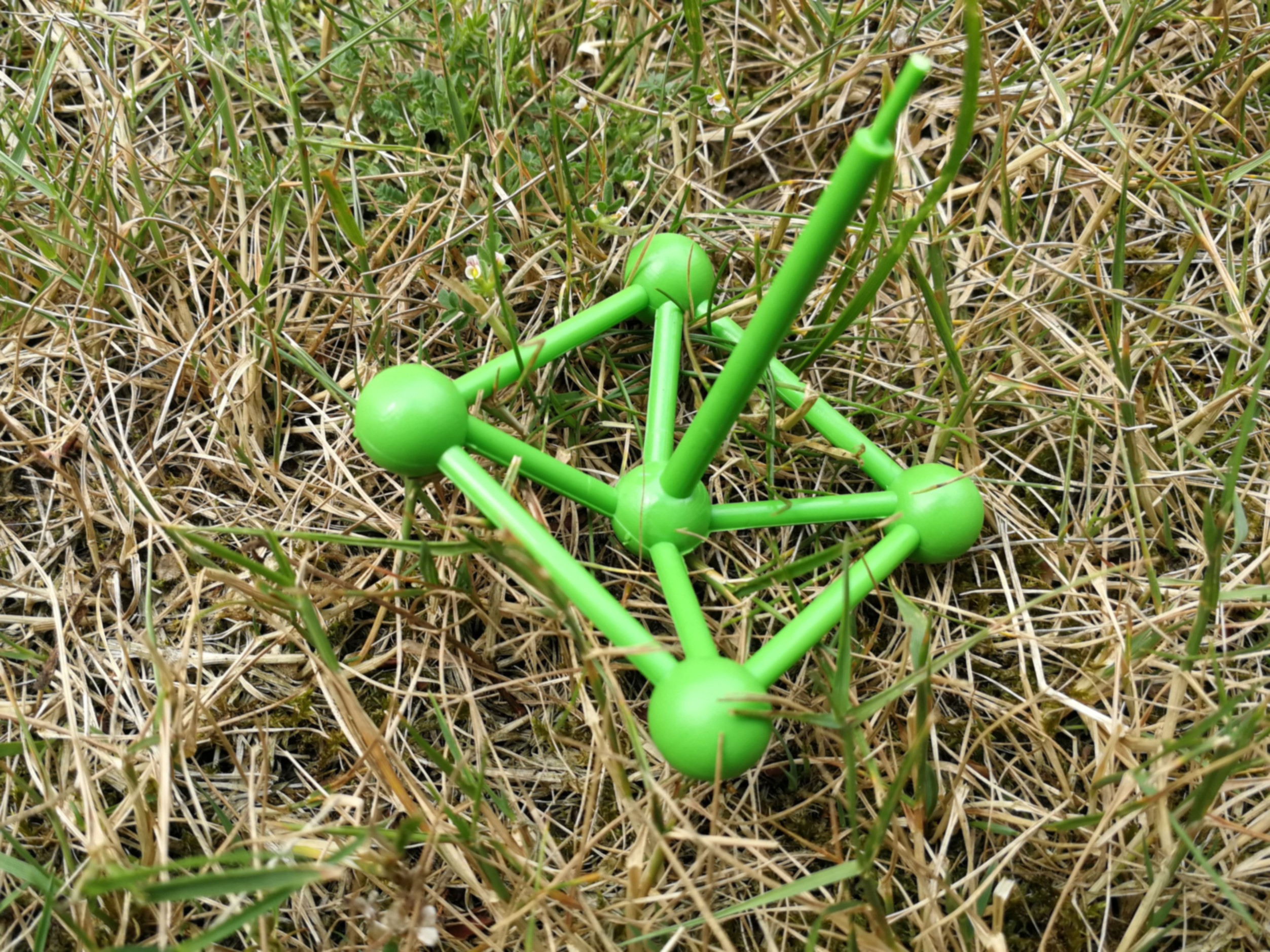 CB-Wettbewerb_August2018_Nahaufnahme (29).jpg