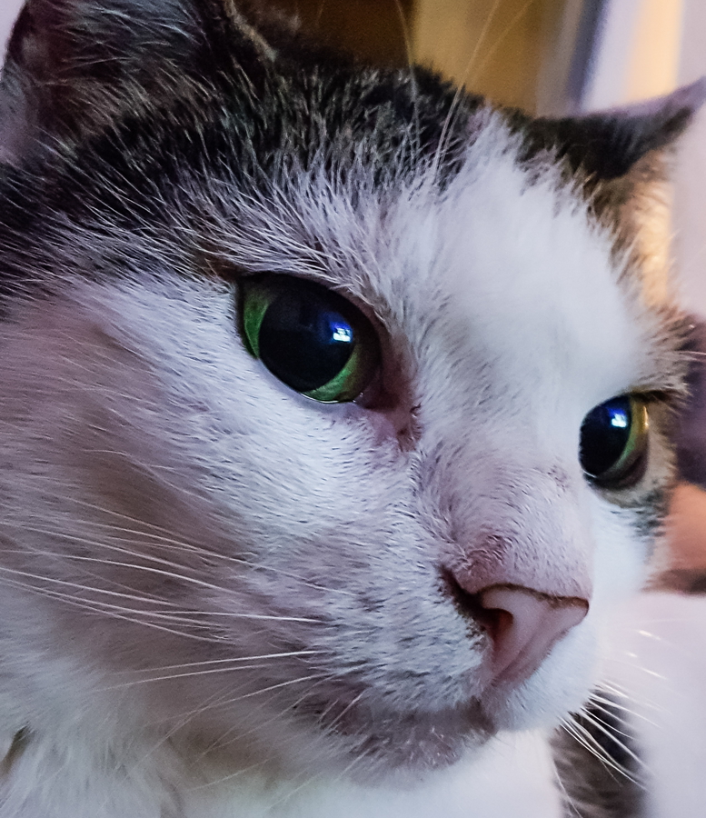 CB-Wettbewerb_August2018_Nahaufnahme (4).jpg