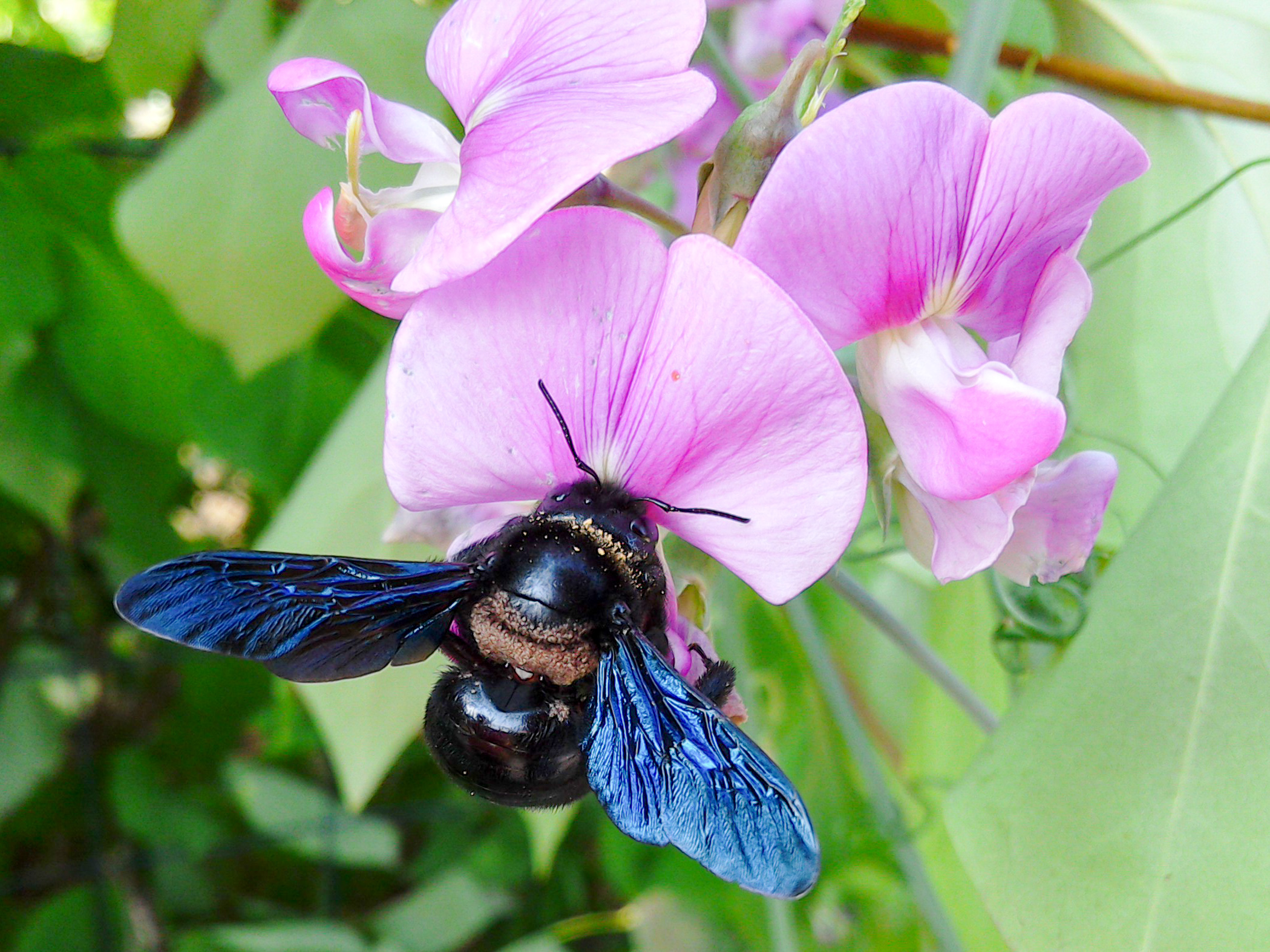 CB-Wettbewerb_August2018_Nahaufnahme (6).jpg