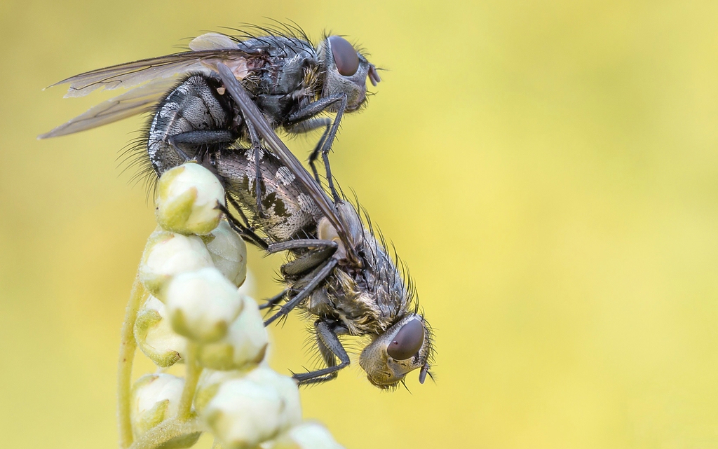 comp_img_0349_nb-jpg.290805