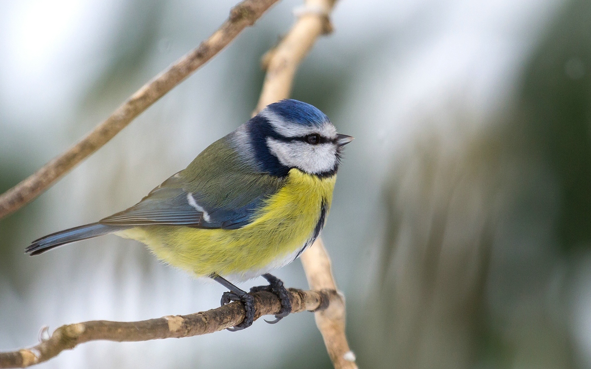 comp_mfimg_9045-jpg.325026