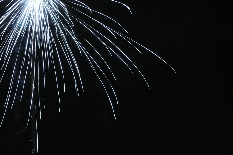 compressed_dsc_3051-jpg.214659