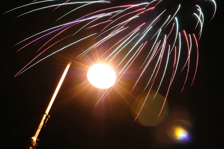 compressed_dsc_3081-jpg.214660