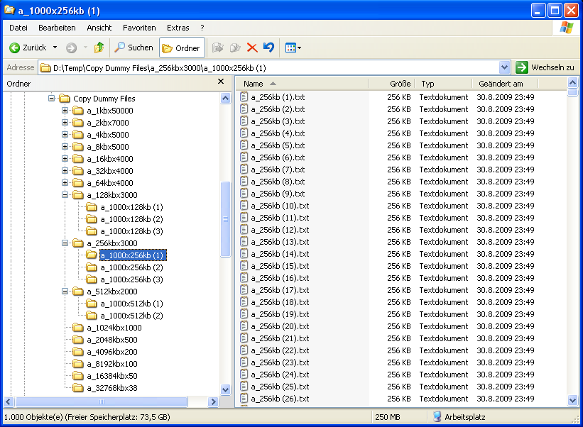 copy-dummy-files_verzeichnisstruktur-png.152673
