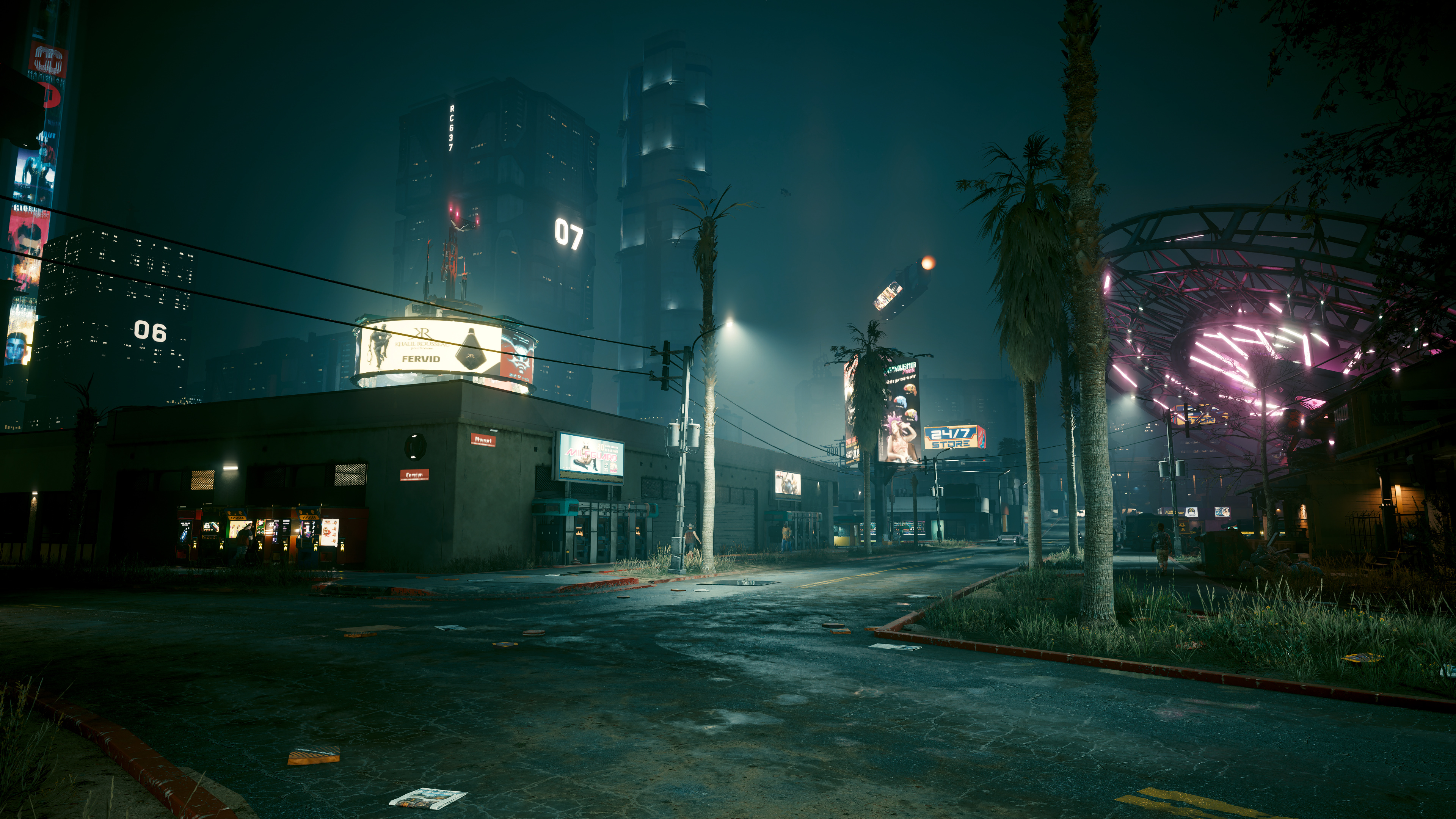 cp_2077_xb_6.jpg