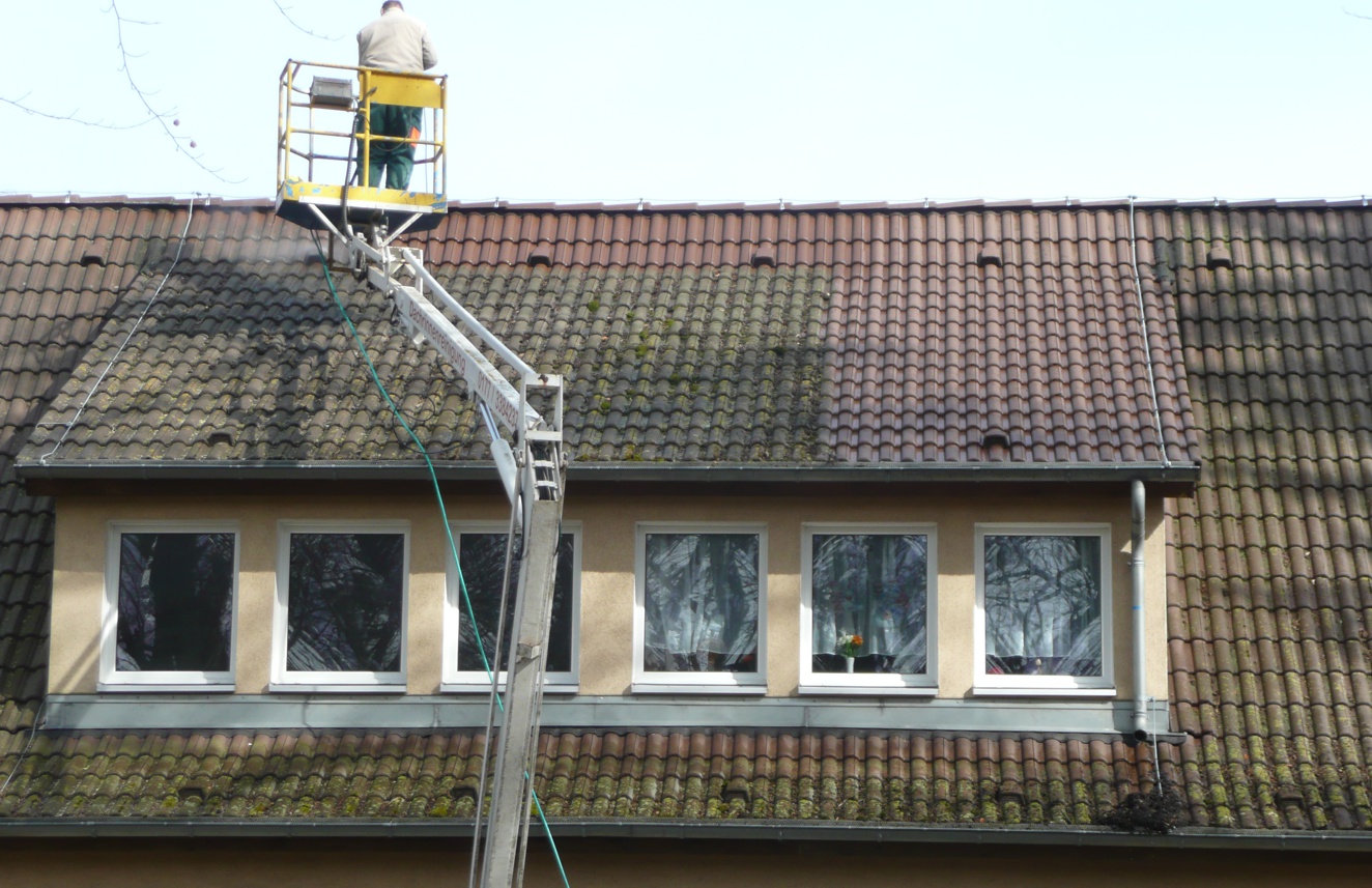 DachreinigungB1.jpg