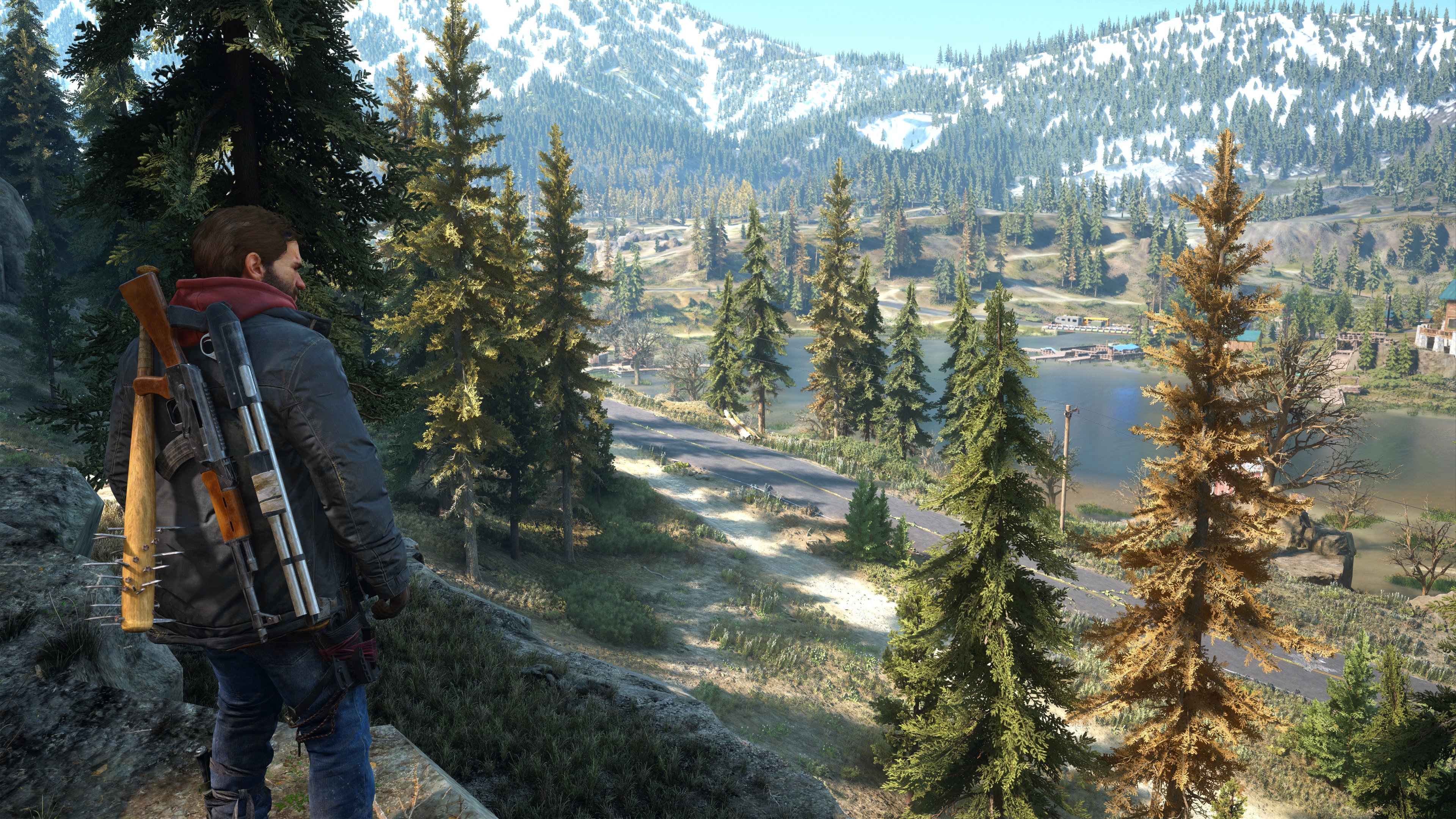 Days Gone 15.01.2025 11_19_22.jpg