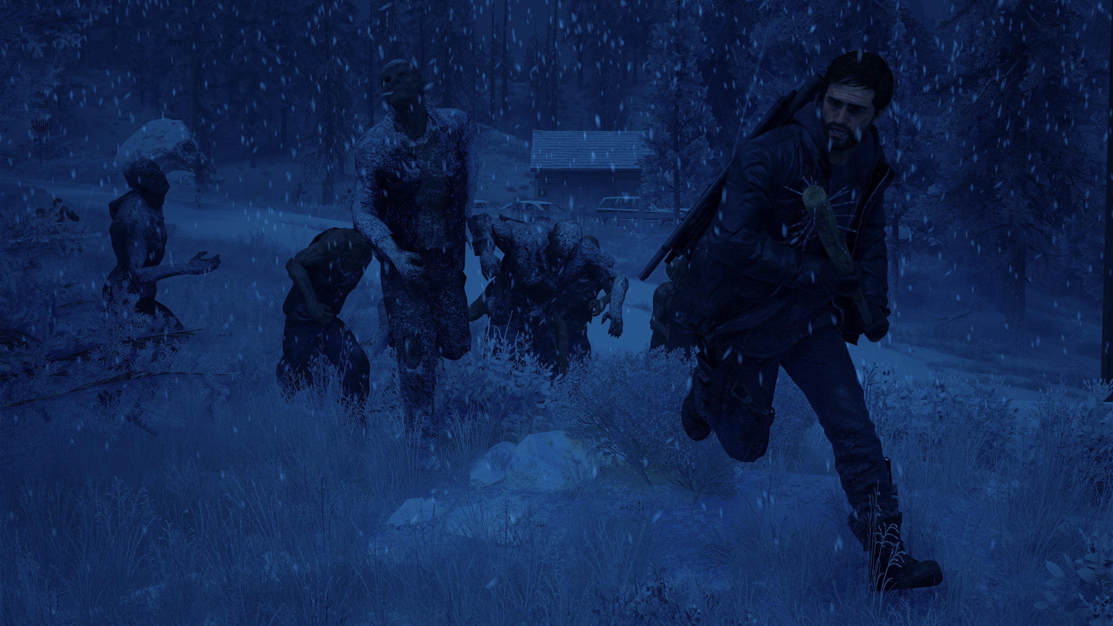 Days Gone 15.01.2025 14_36_56.jpg