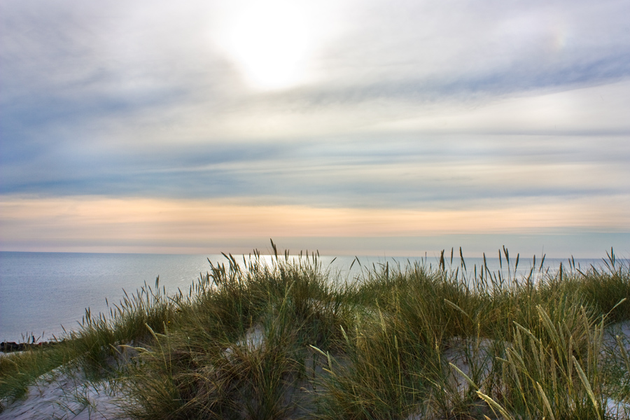 dmark2-kopie-jpg.157205