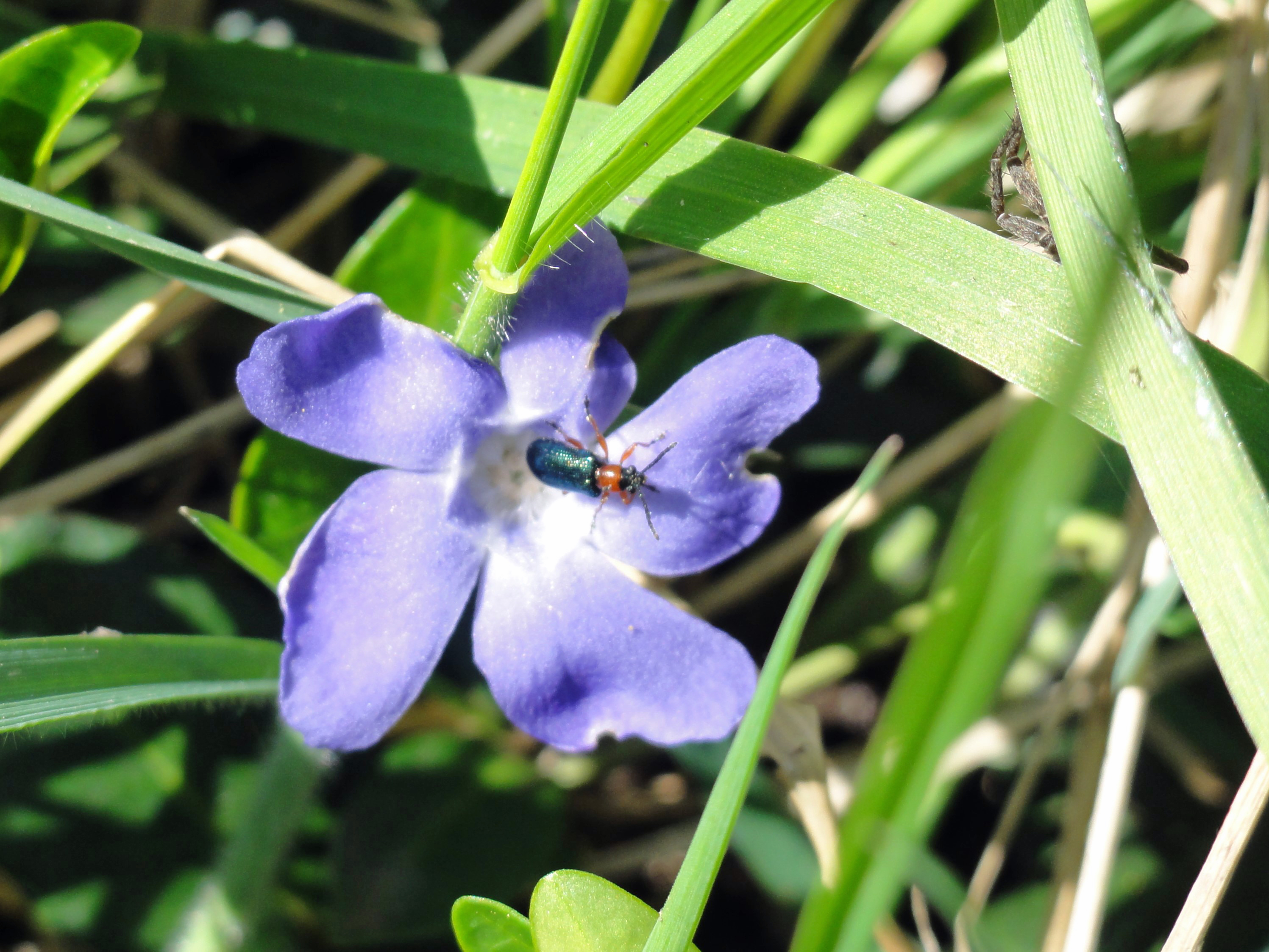 DSC00146 (3) - Kopie.jpg