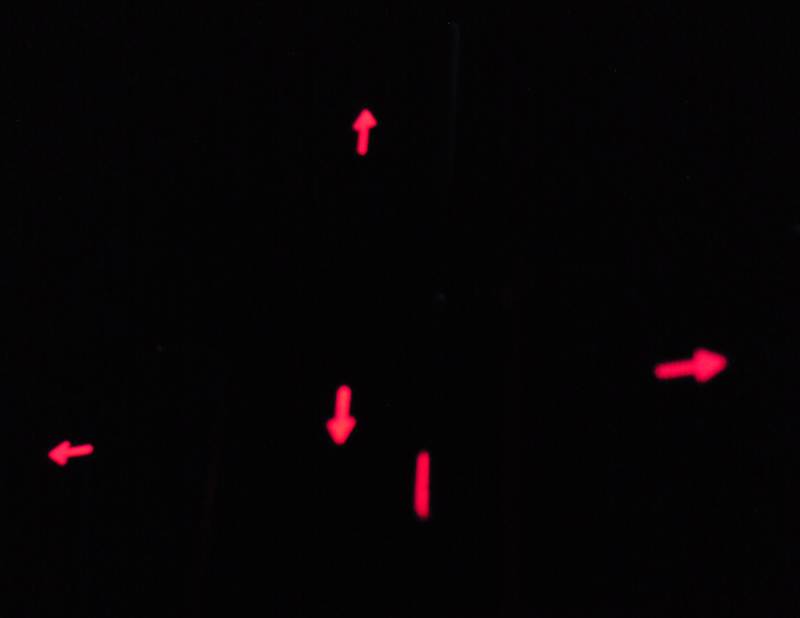 dsc012642-jpg.215904