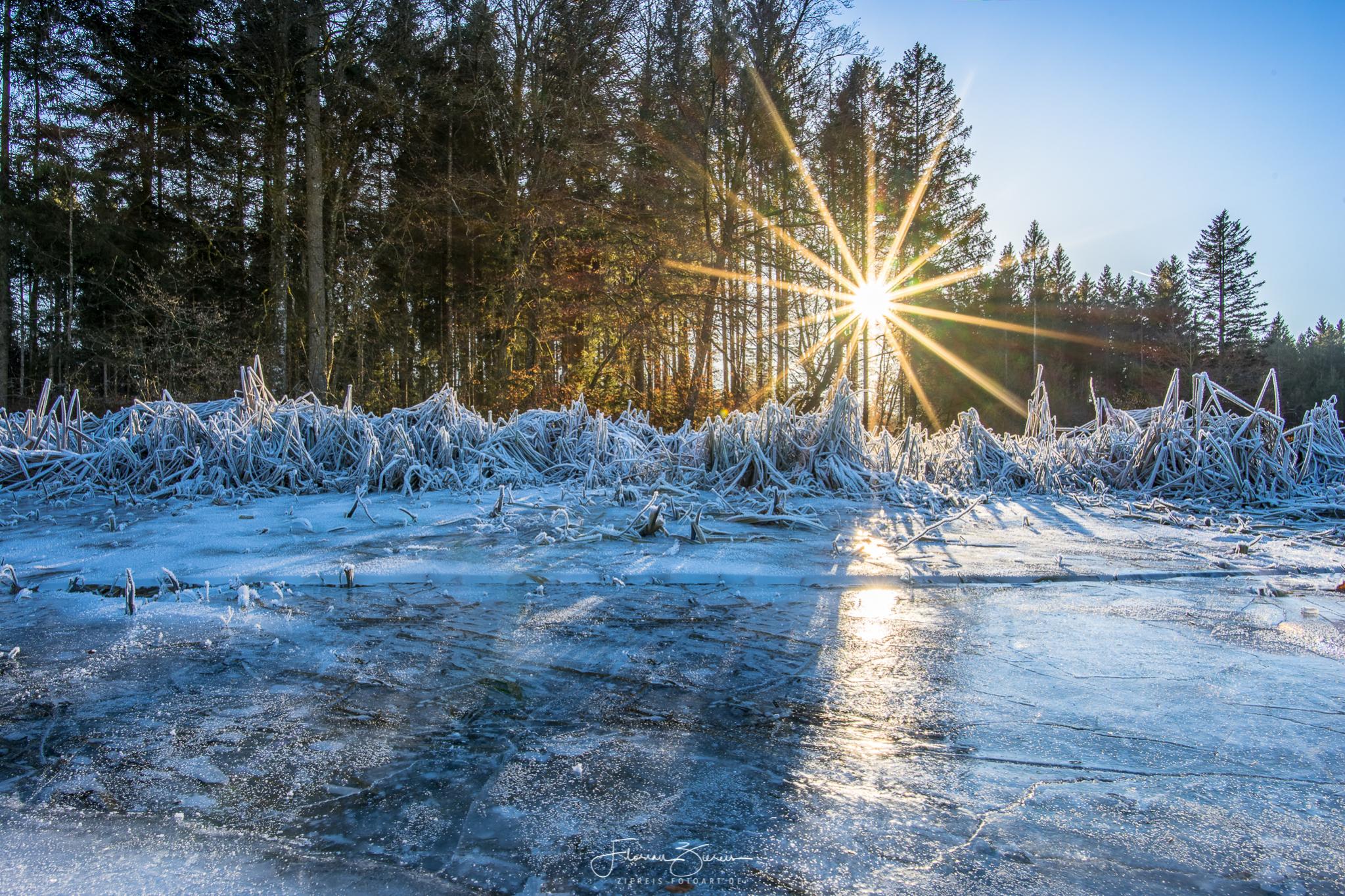 dsc09656-hdr-jpg.600057