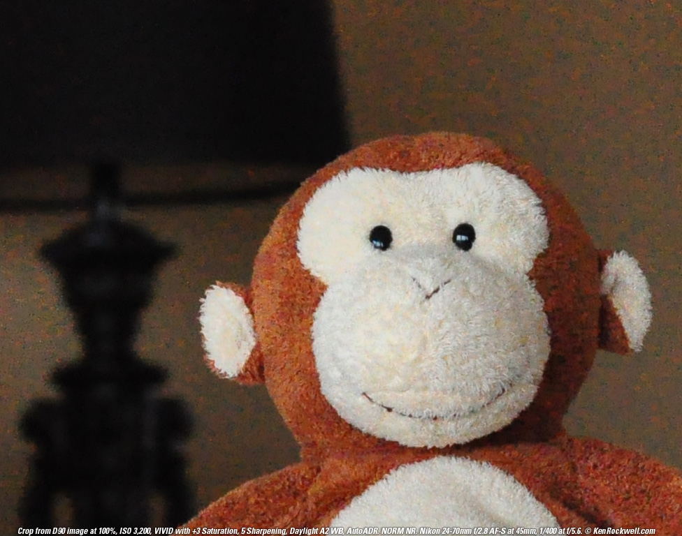 DSC_0012.jpg