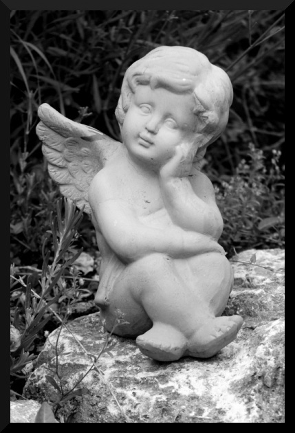 dsc_0071small2-jpg.102593