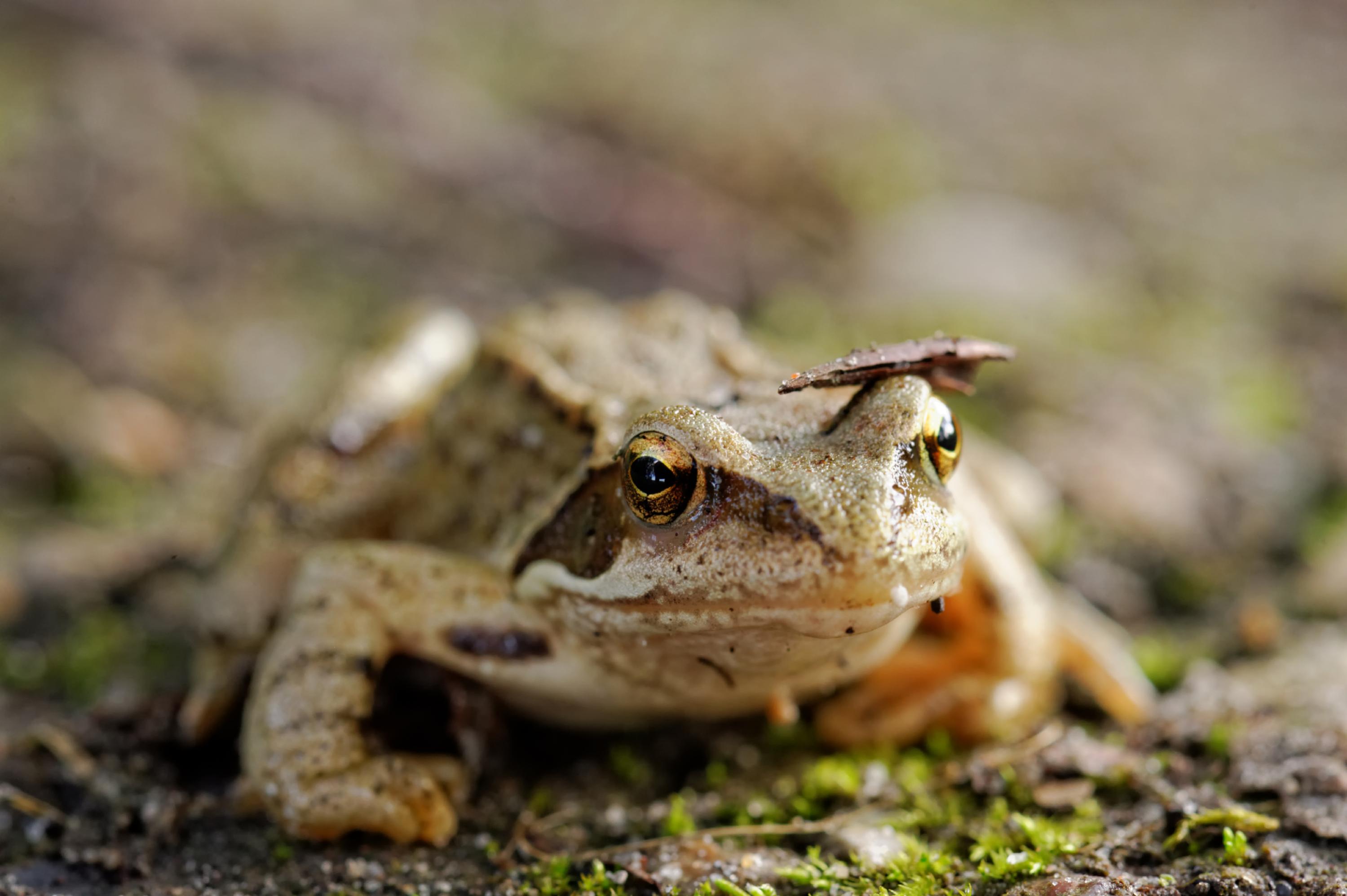 dsc_0122_dxo_2-jpg.358873