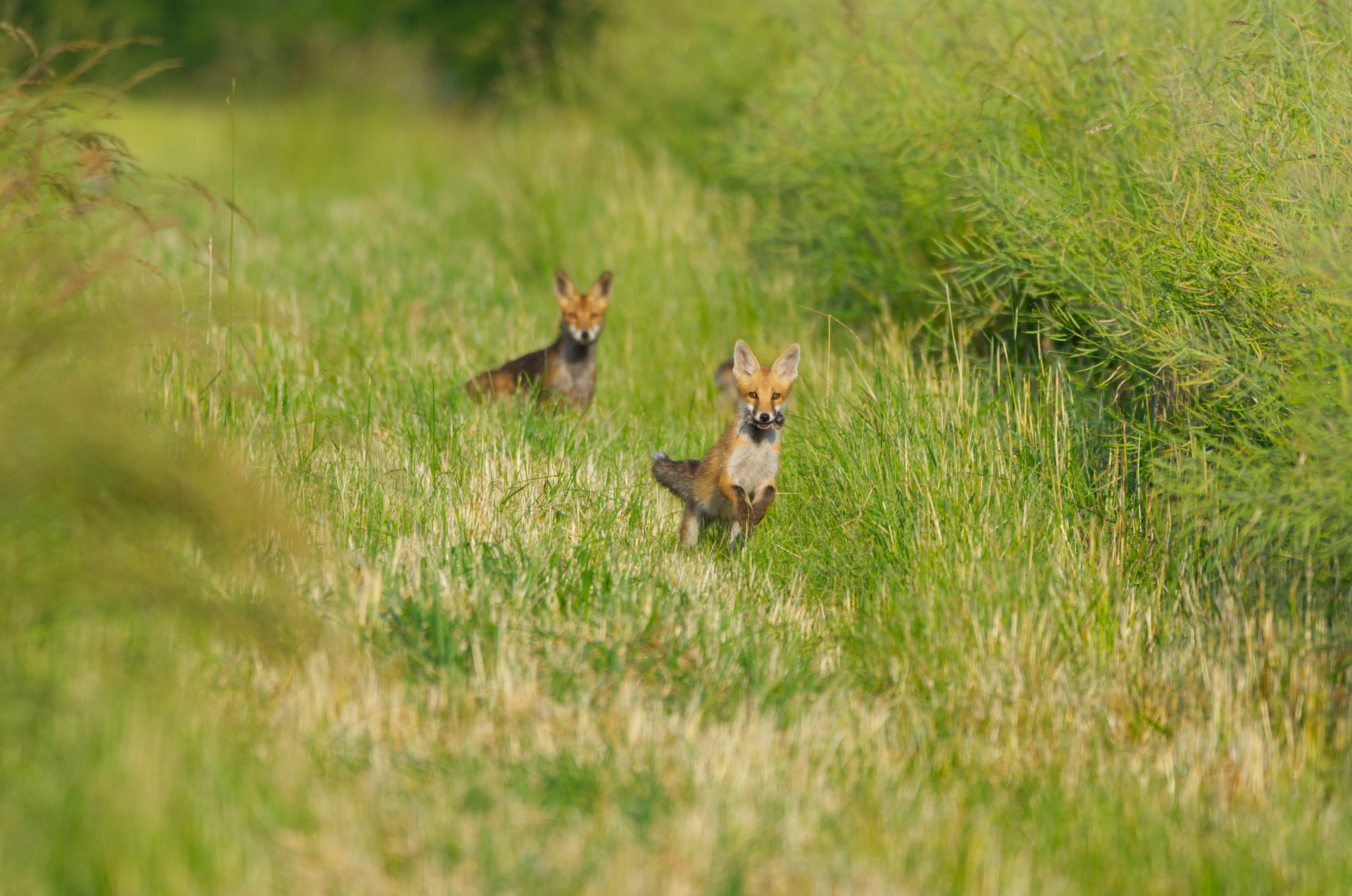 DSC_0146.JPG