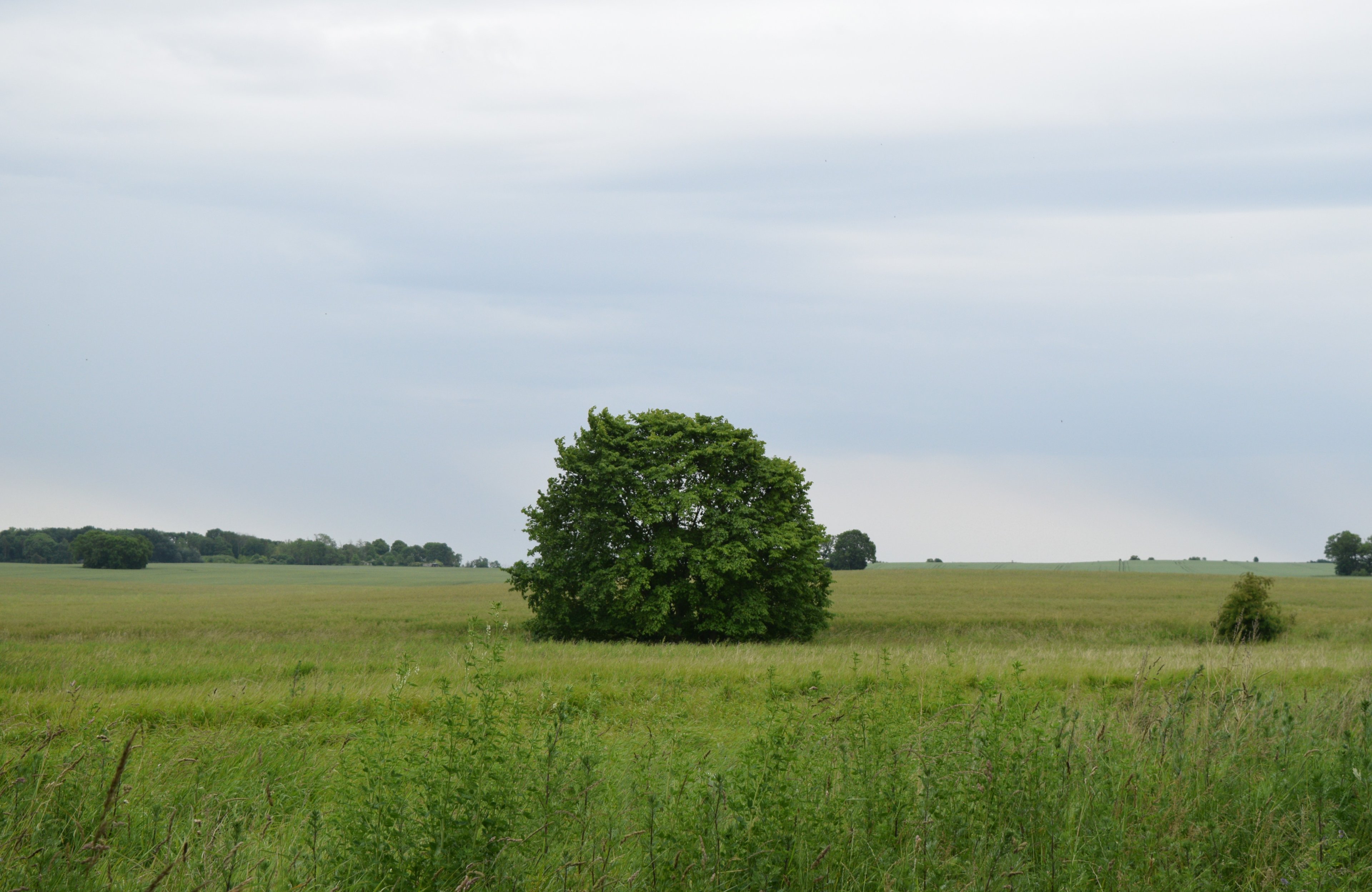 DSC_0216 - Kopie.JPG