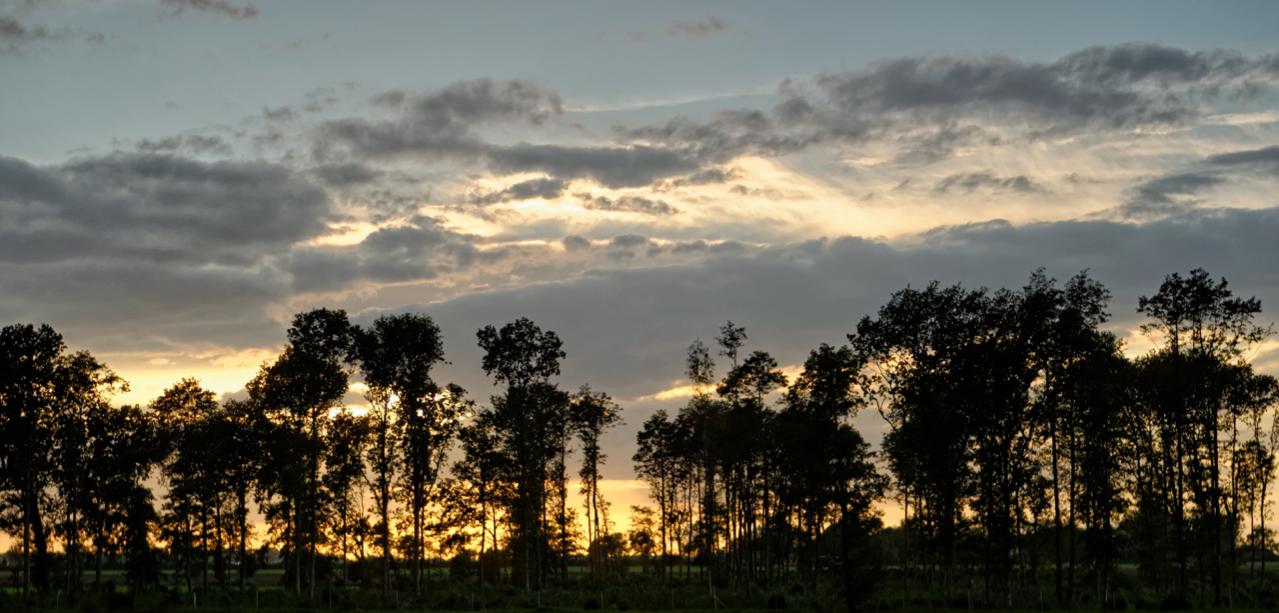 dsc_0418_dxo-jpg.365170