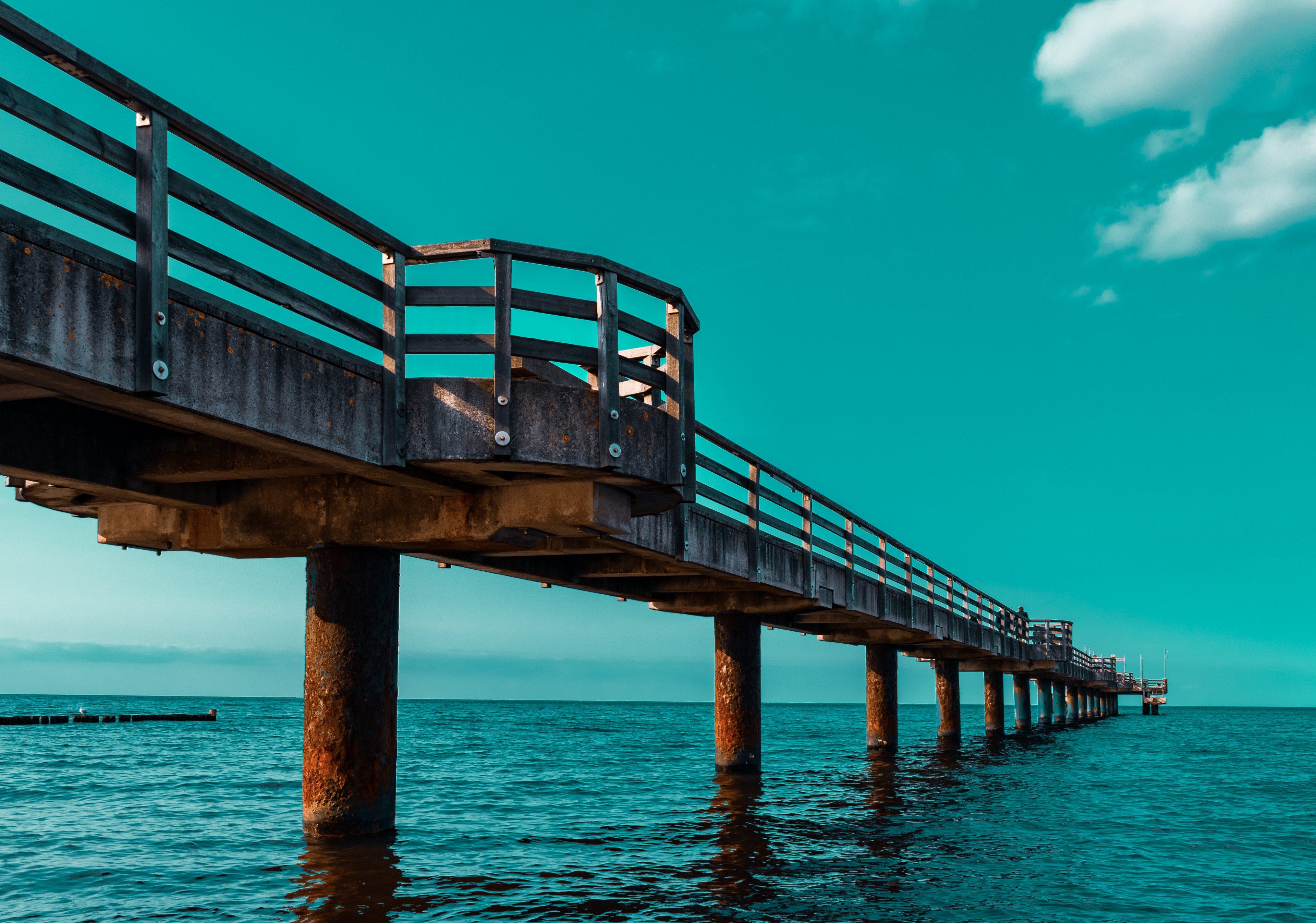 DSC_0442-Metis edit.jpg