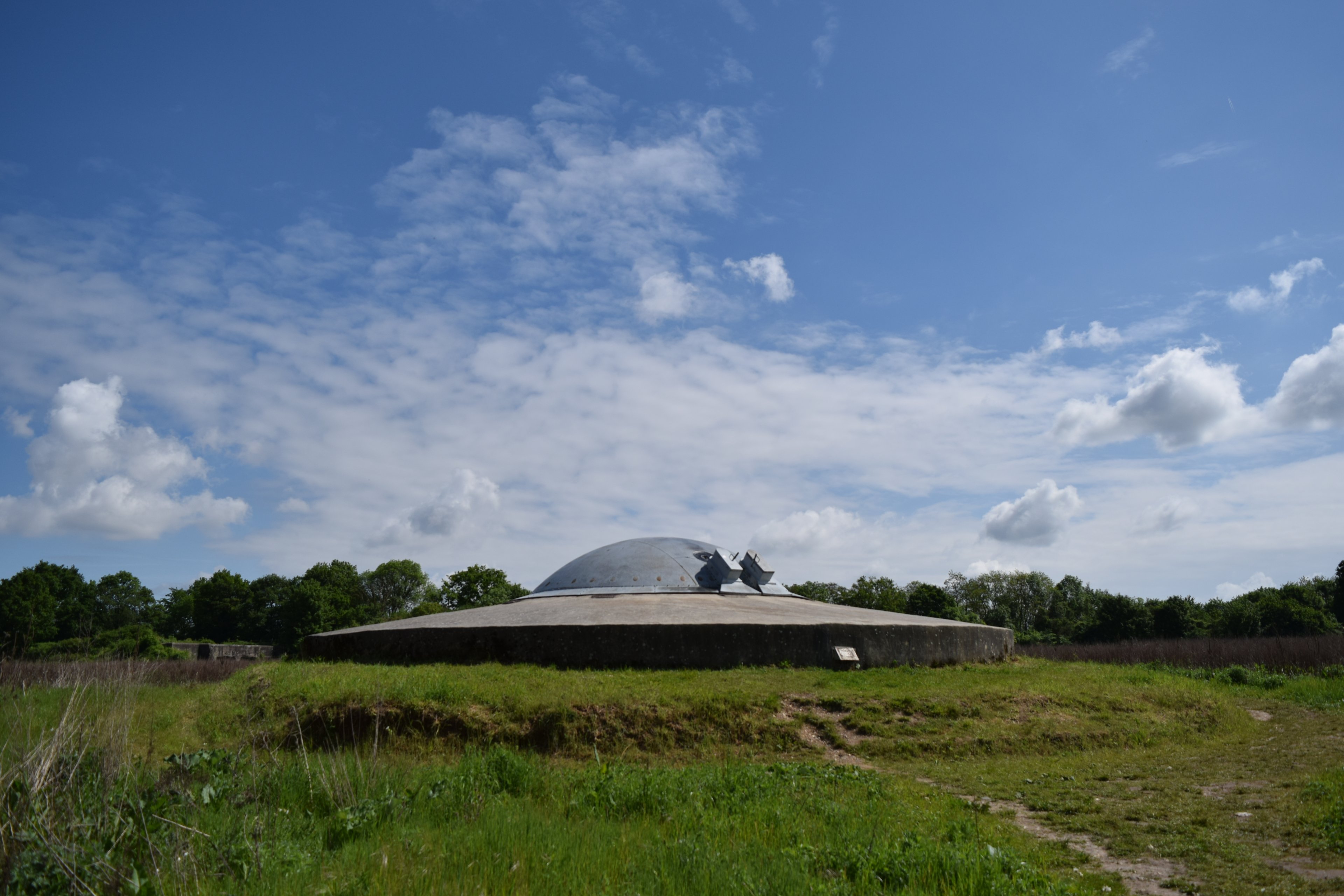 DSC_0485.JPG