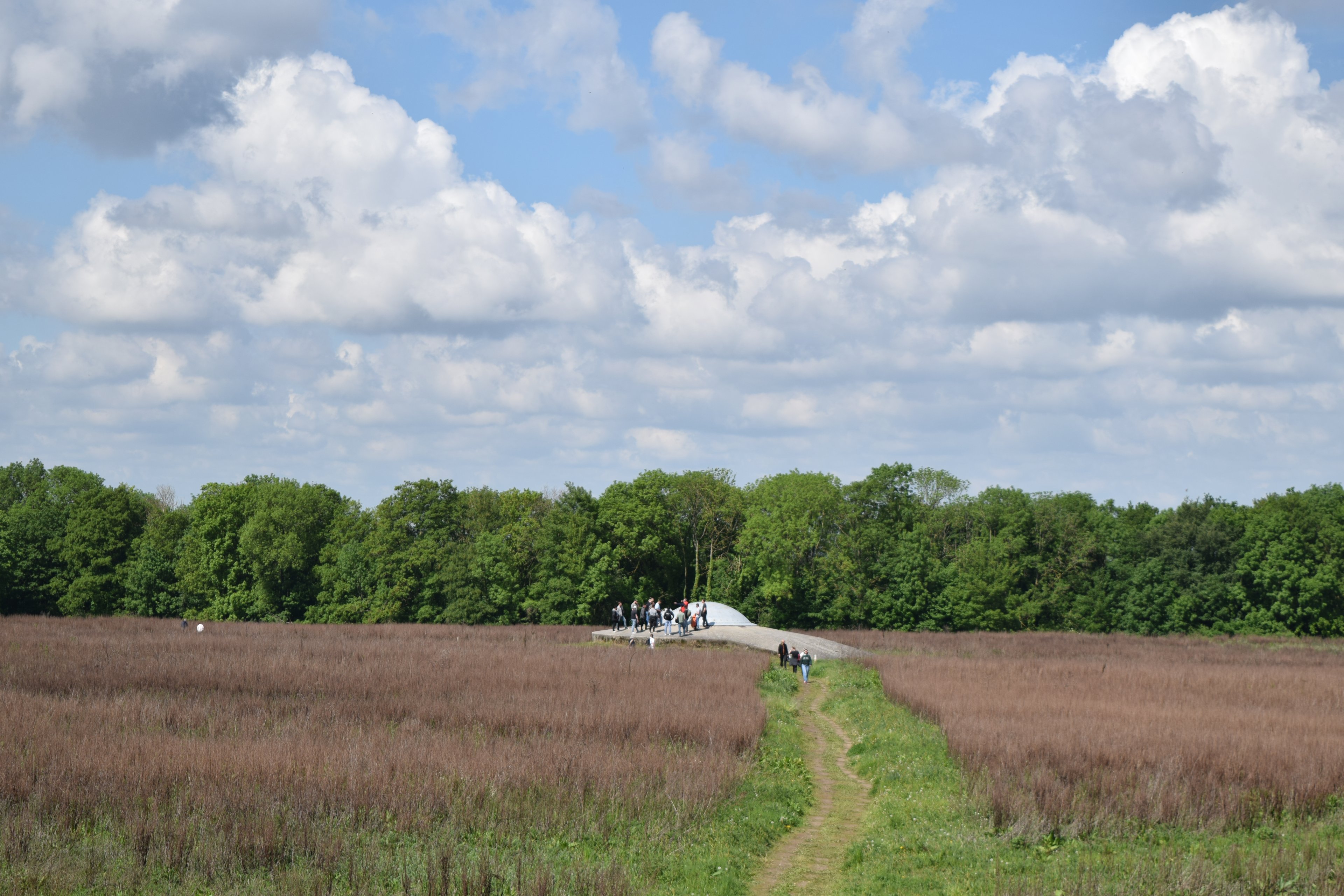 DSC_0490.JPG