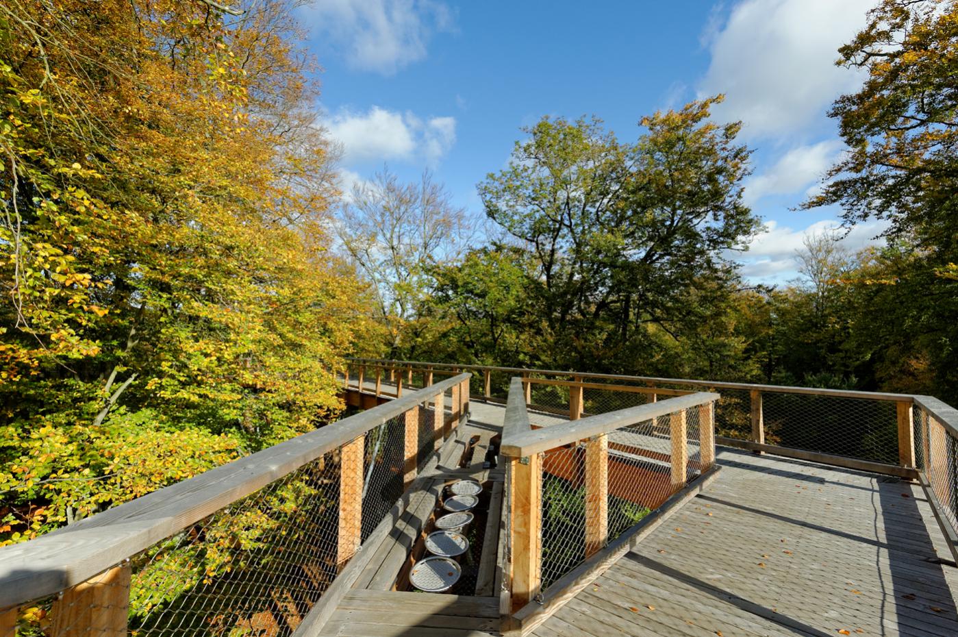 dsc_0538_dxo-jpg.371943