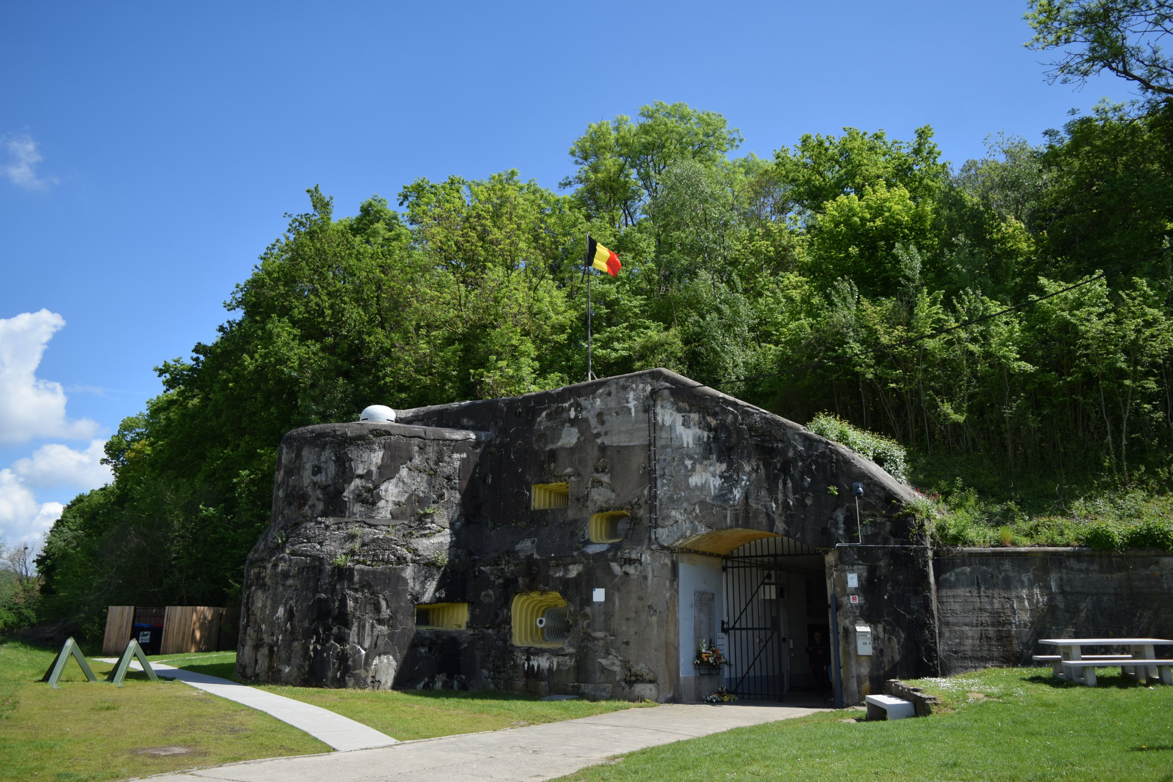 DSC_0539.JPG